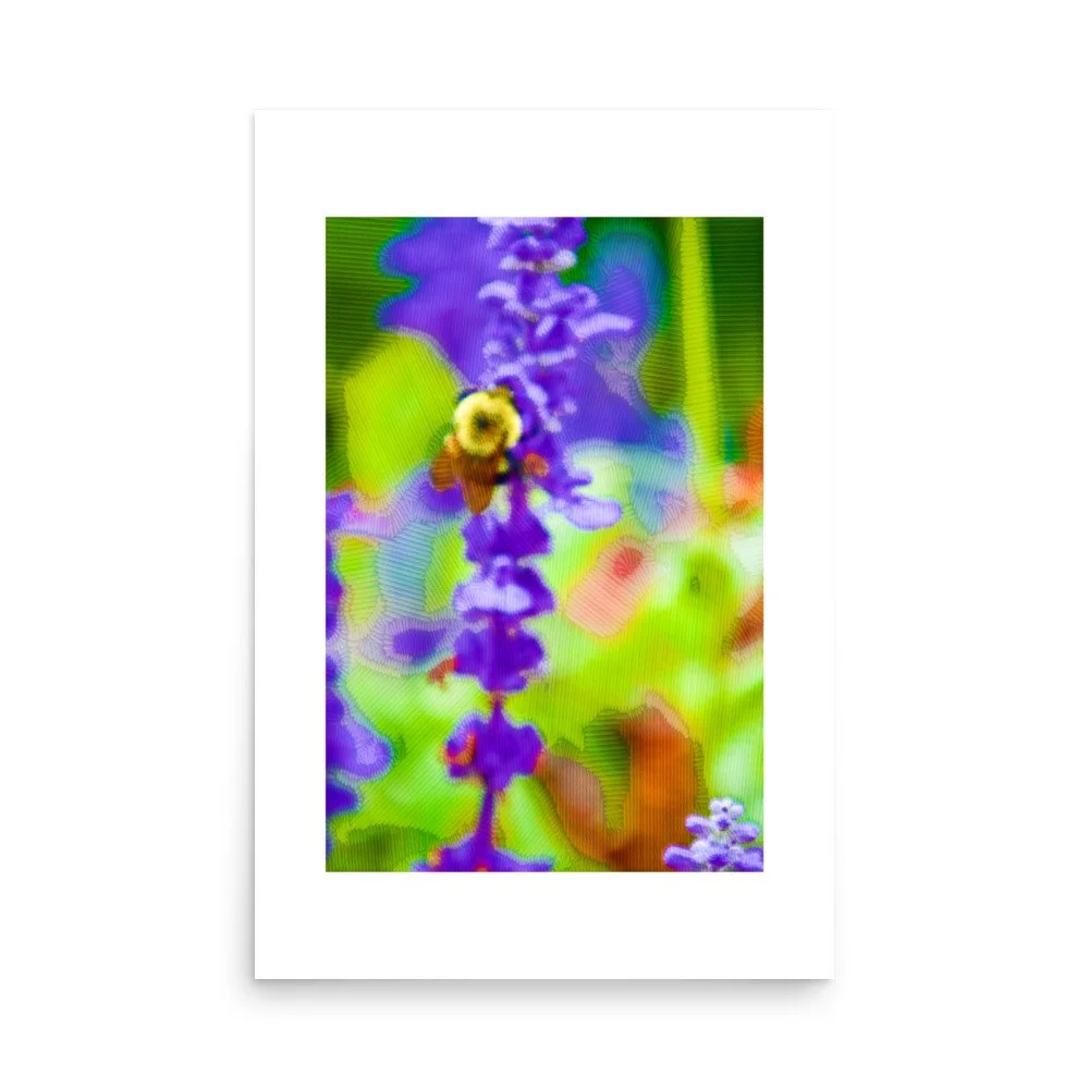 premium-luster-photo-paper-poster-(in)-24x36-front-6a4add90087f3.jpg