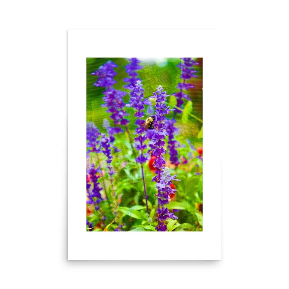 premium-luster-photo-paper-poster-(in)-24x36-front-6a4addcd0703e.jpg