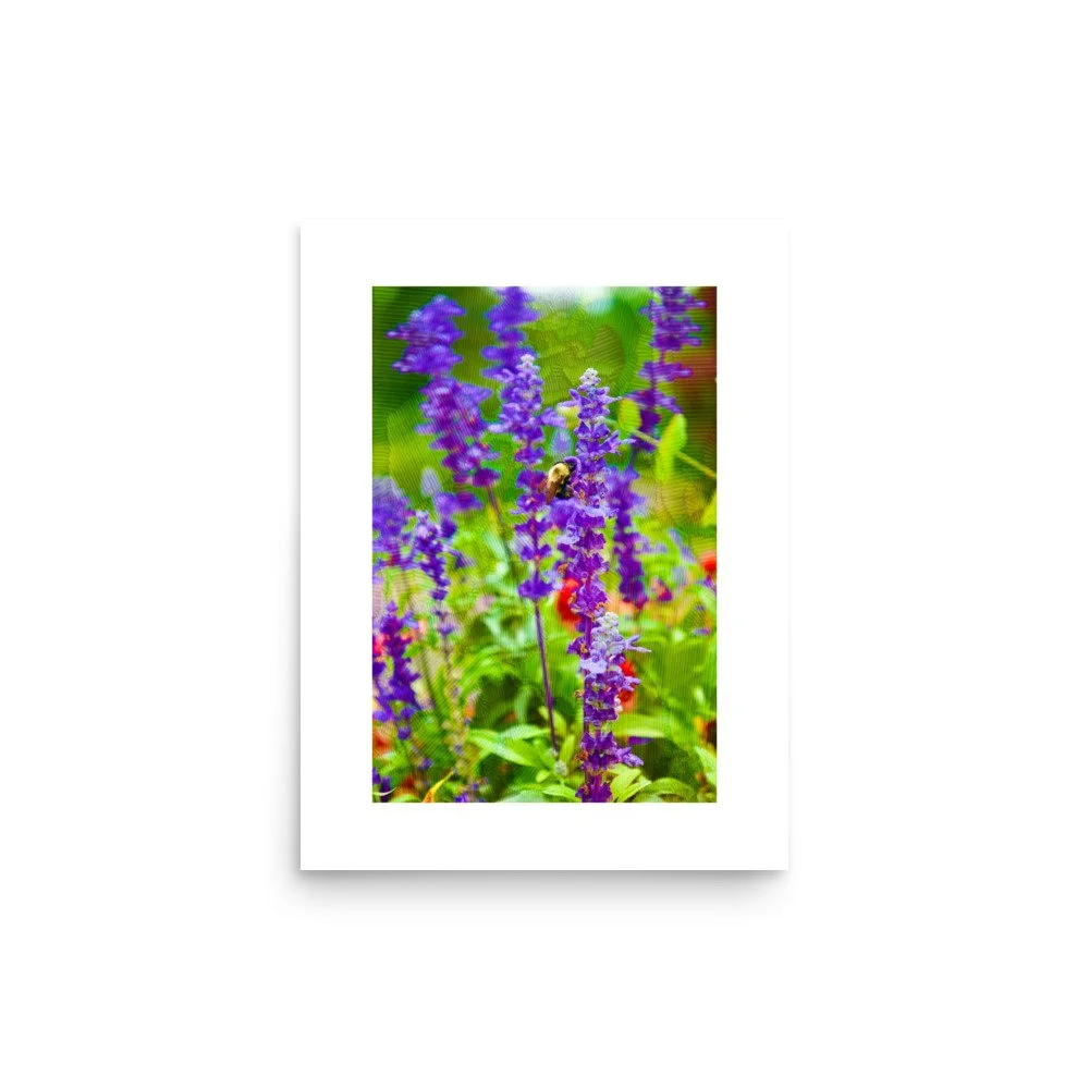 premium-luster-photo-paper-poster-(in)-12x16-front-6a4addcd07c5a.jpg