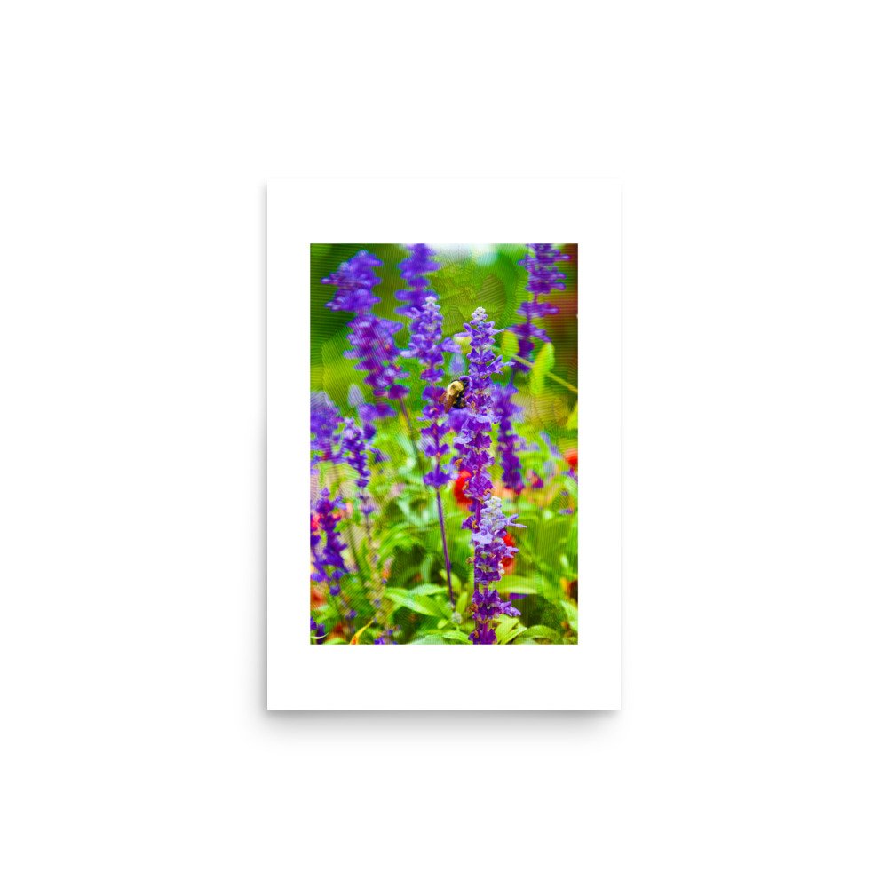 premium-luster-photo-paper-poster-(in)-12x18-front-6a4addcd07d05.jpg