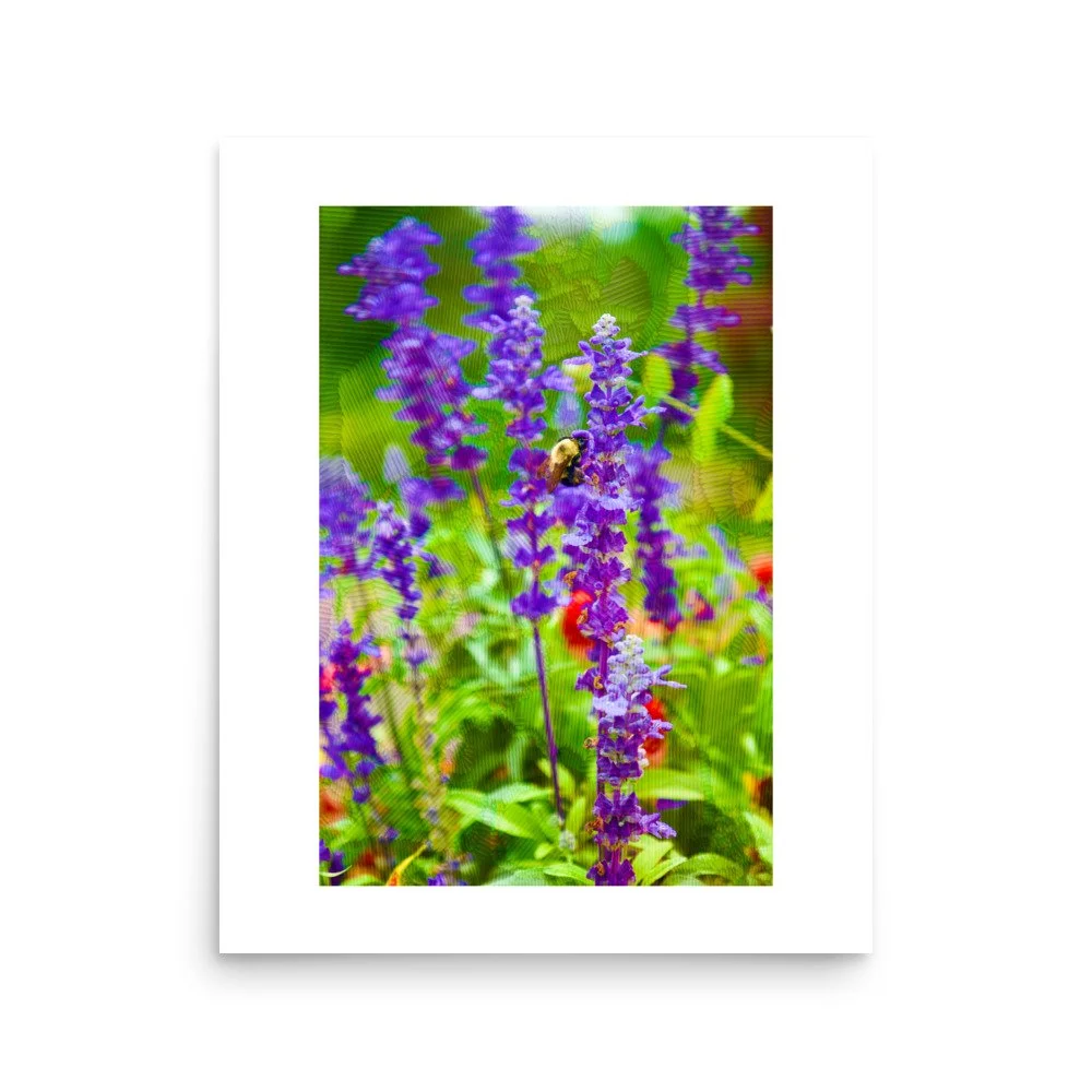 premium-luster-photo-paper-poster-(in)-16x20-front-6a4addcd07d8d.jpg