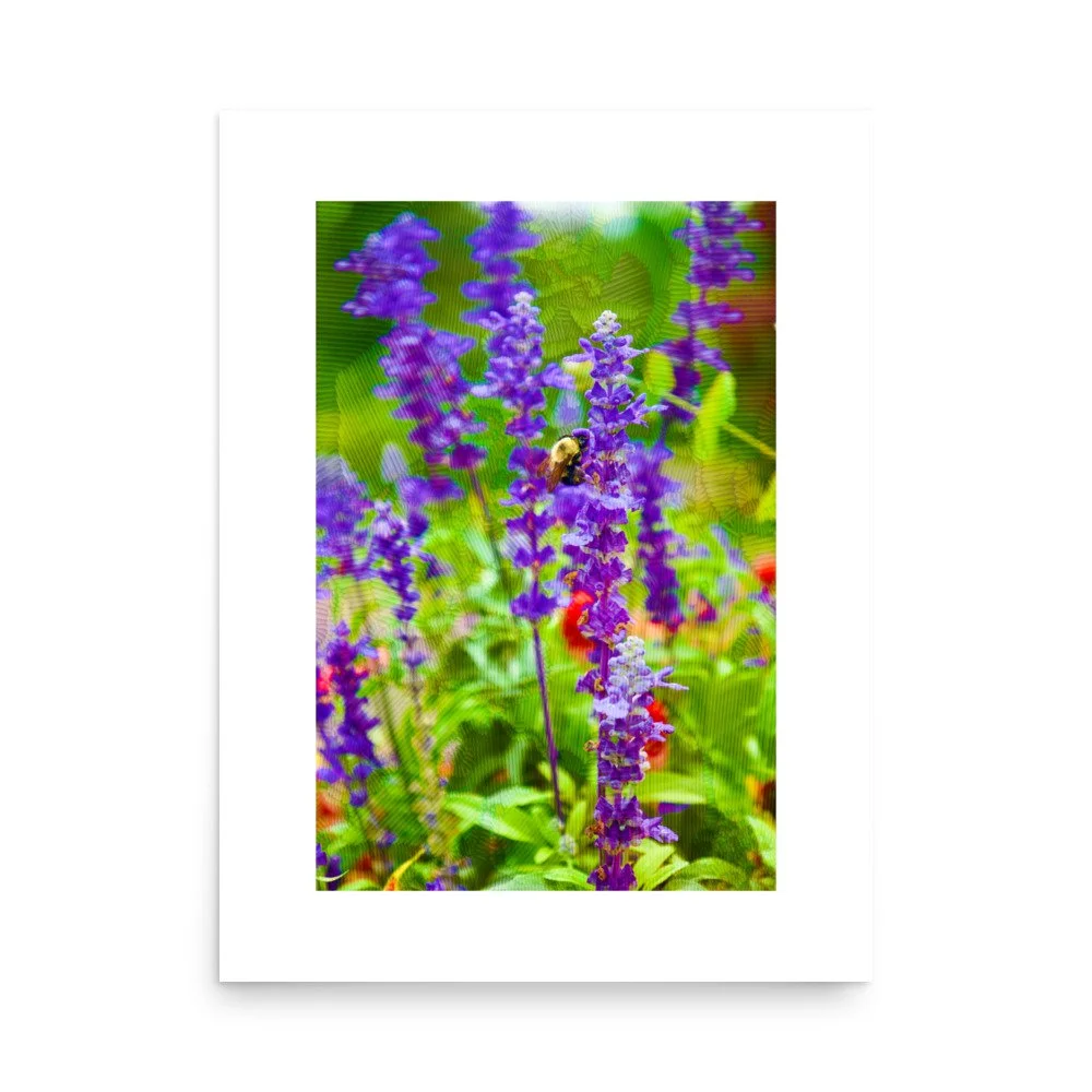 premium-luster-photo-paper-poster-(in)-18x24-front-6a4addcd07e14.jpg
