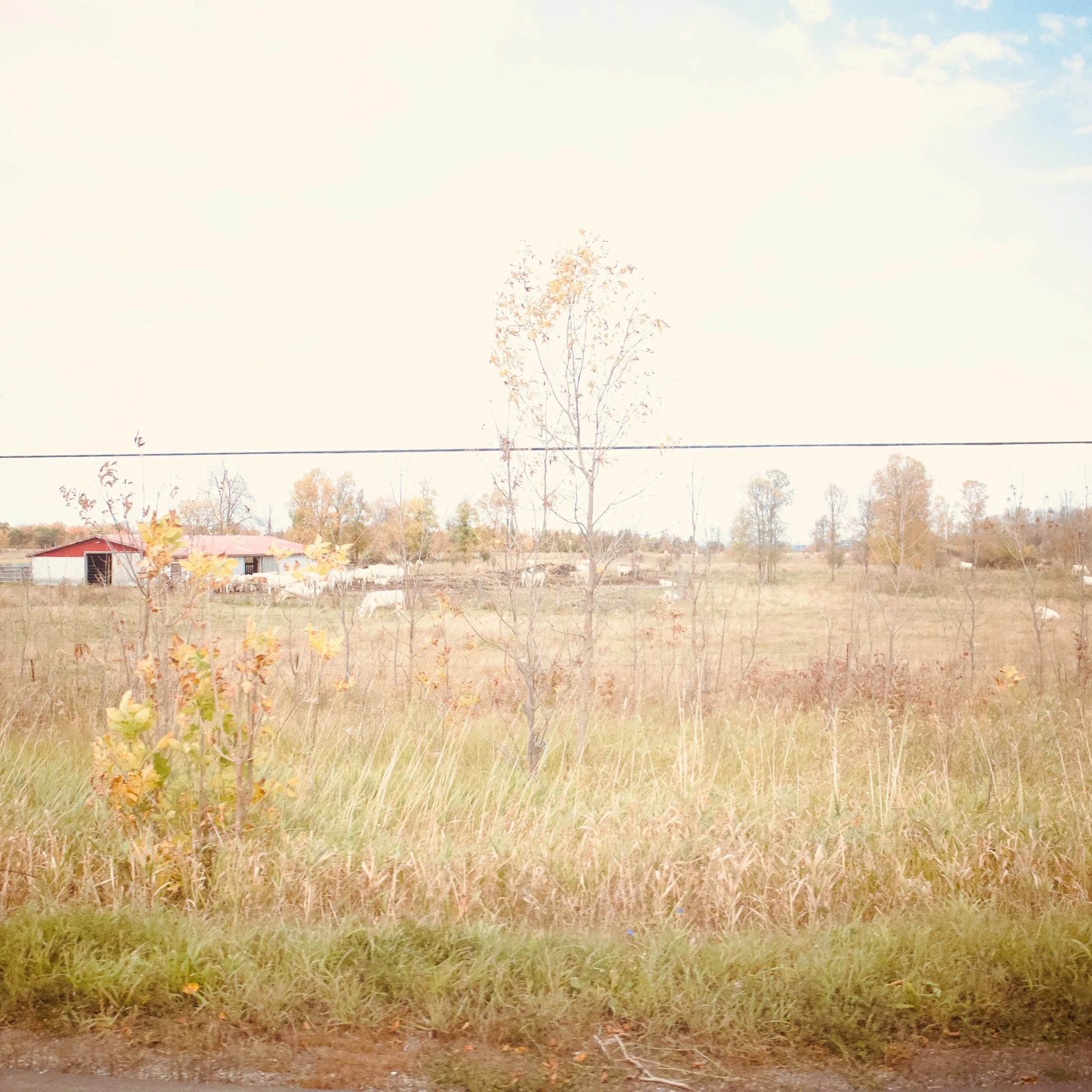 Somewhere

#manitoulin #discoverontario #photography #somewhere #photographer #somewherephotography #fineart fineartphotography