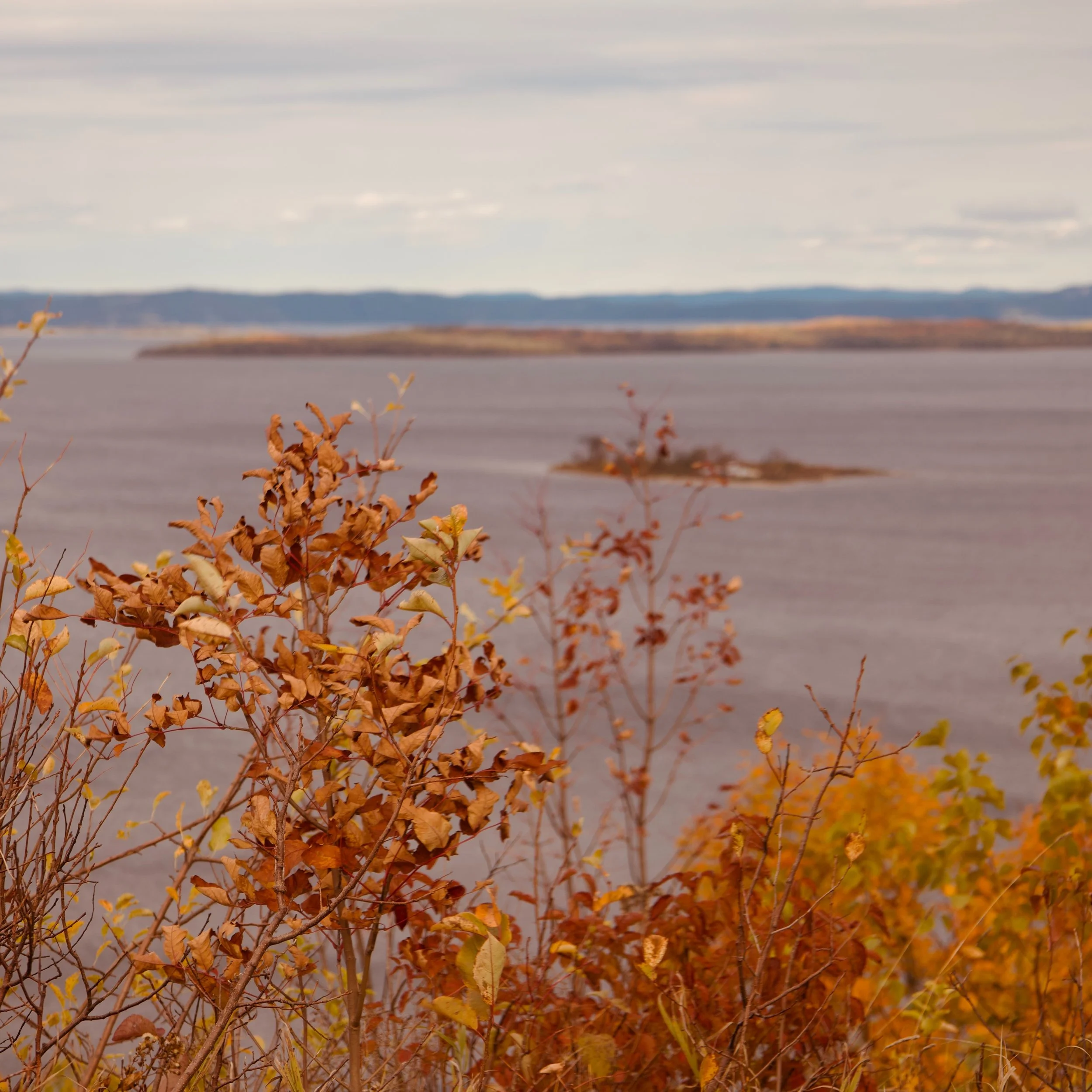 10 Mile Point

Manitoulin ON

#manitoulin #manitoulinontario #discoverontario #photography #boat #red #10milepoint