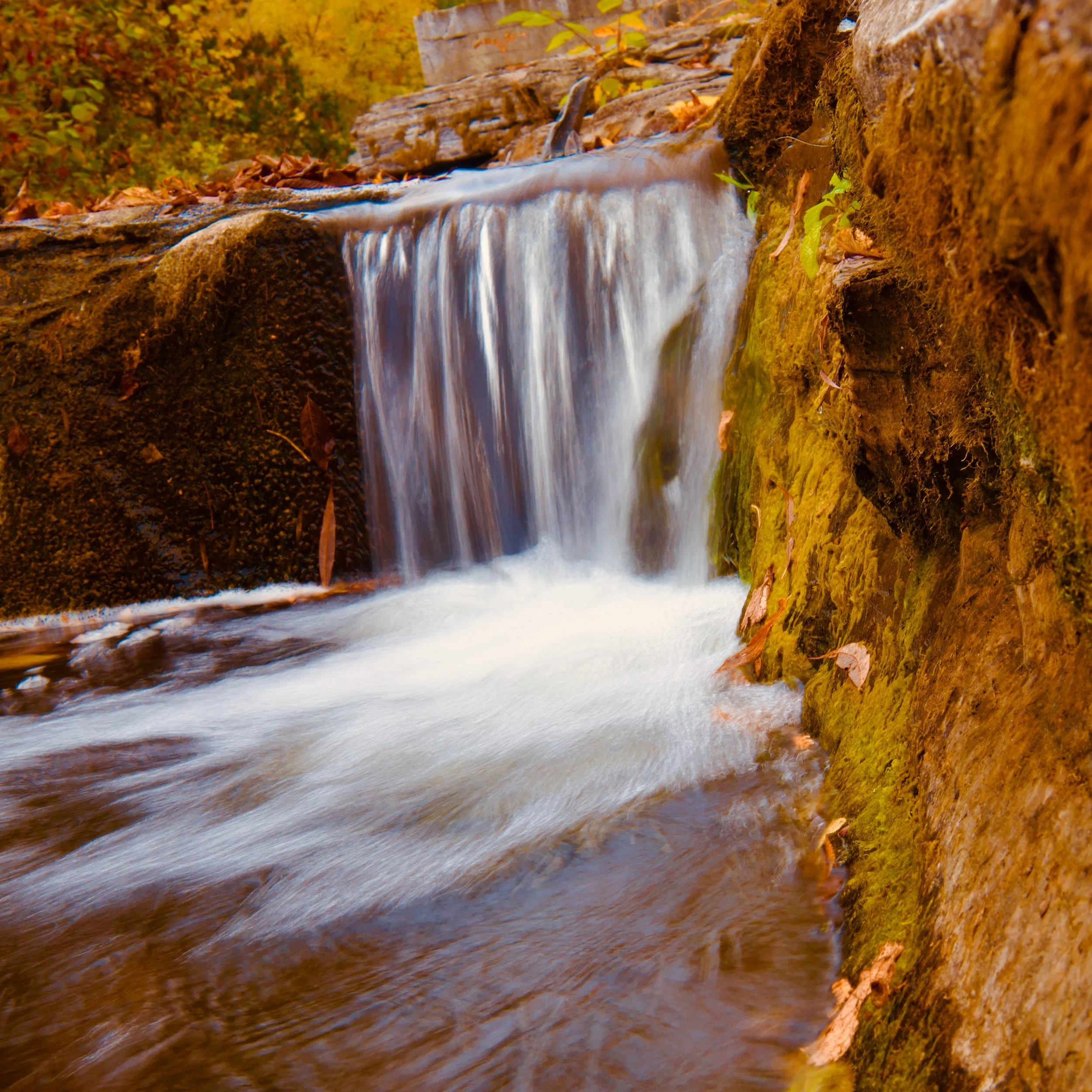 Little Falls

#batman #photography #waterfalls #water #waterphotography #sheguiandah #firstnation #discoverontario