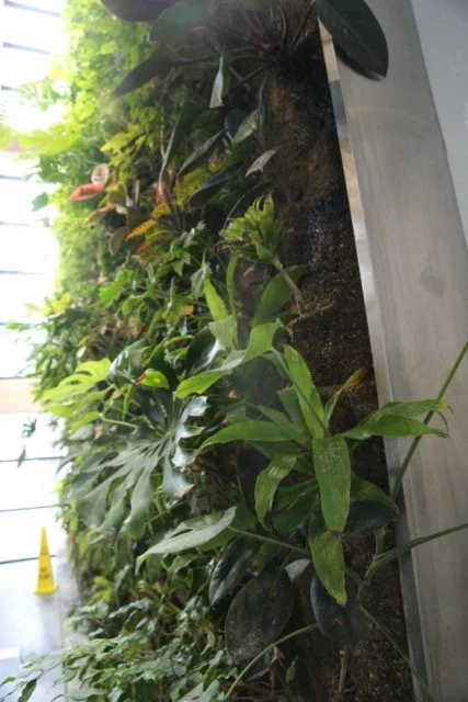 2J0A7574 2 Medium.jpeg