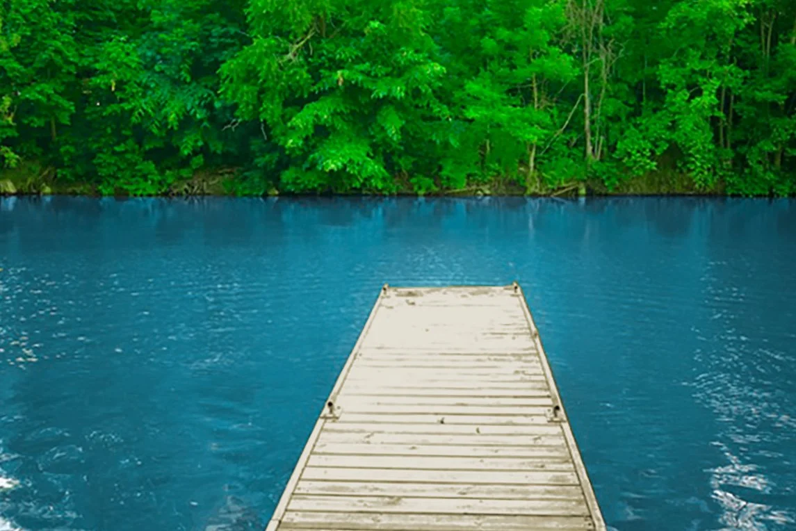 Into Stillness