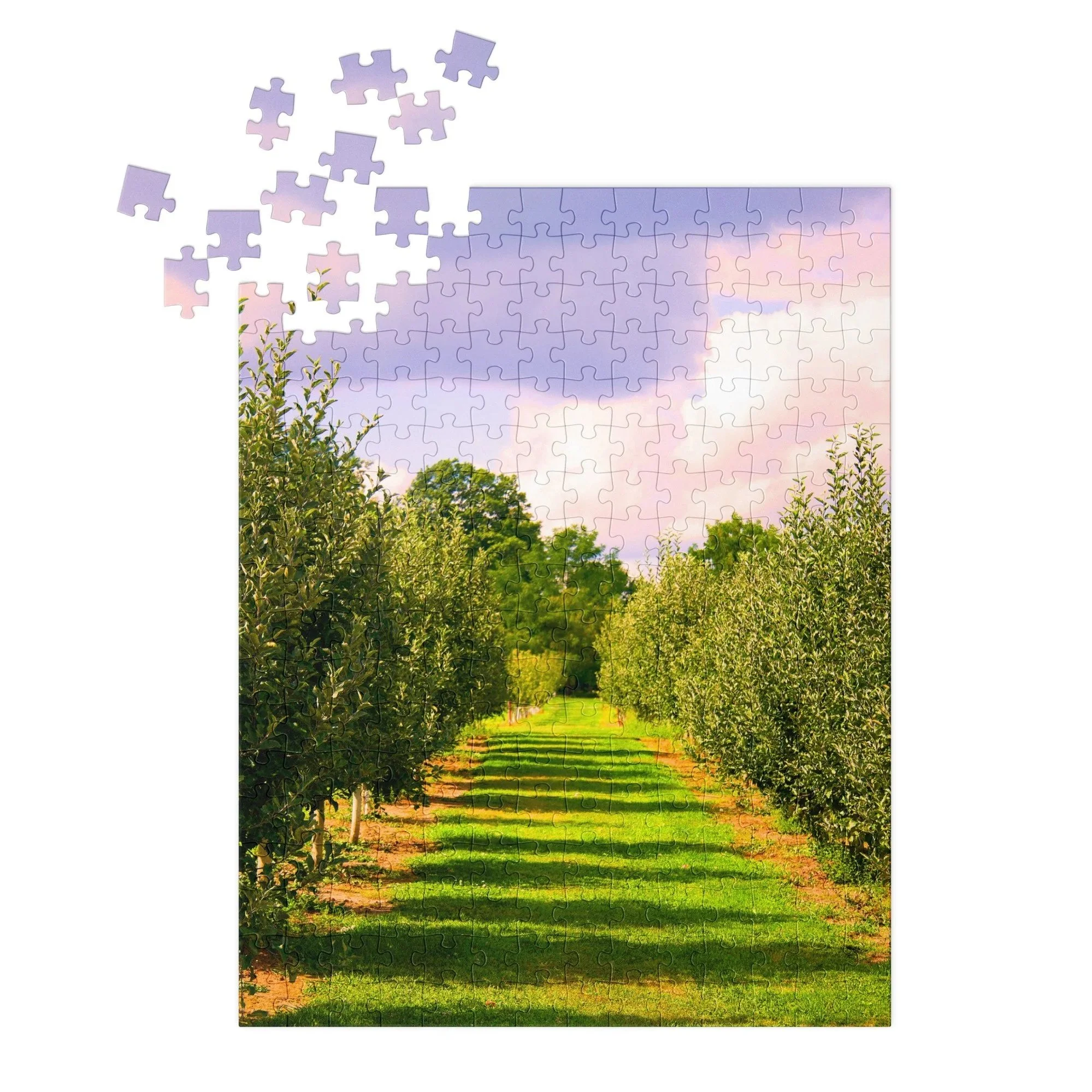 jigsaw-puzzle-with-tin-white-%28glossy%29-14x11-%28252-pcs%29-front-68db0dd16c313.jpg