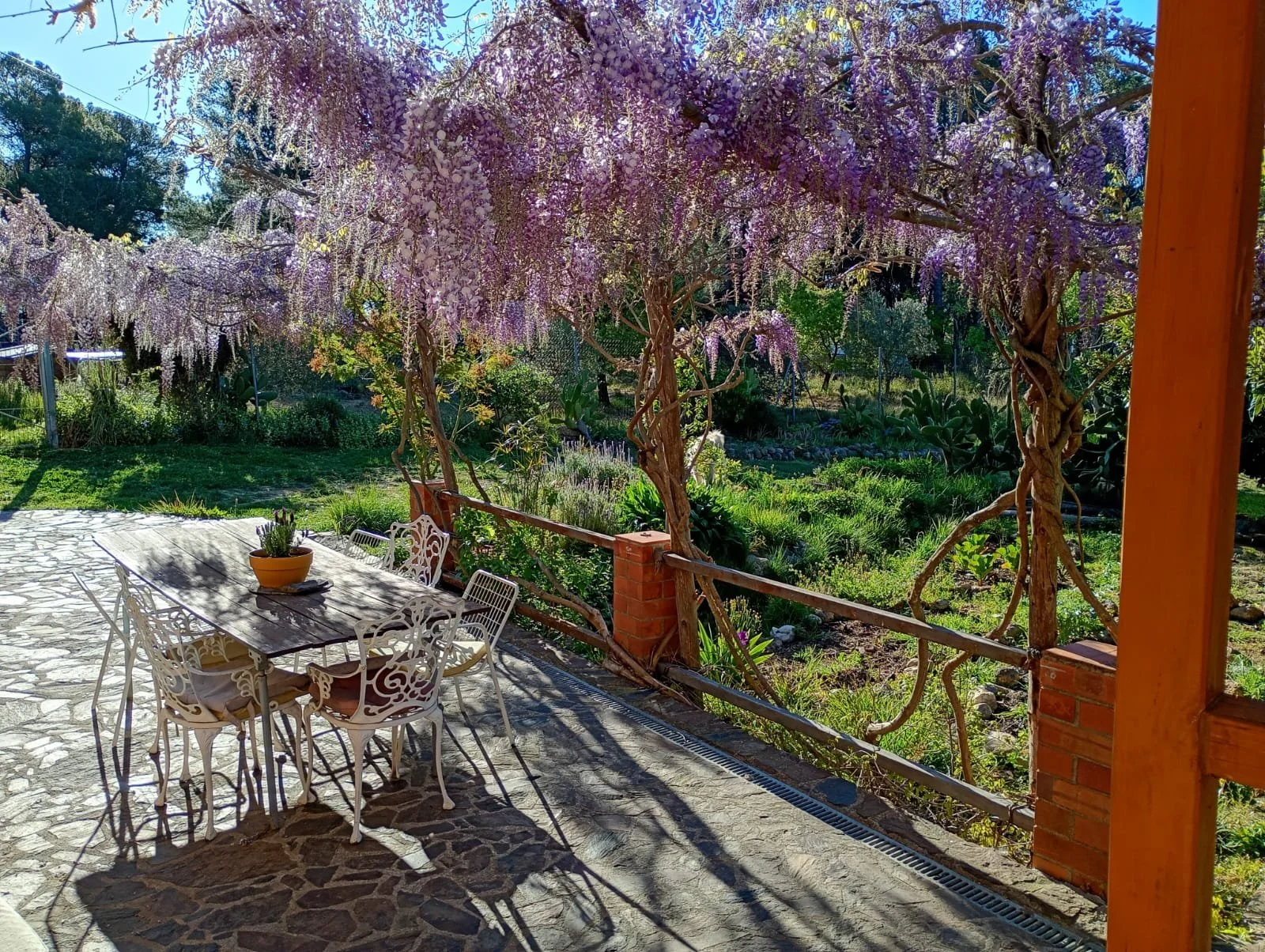 WhatsApp Image 2026-04-09 at 11.15.46.jpeg