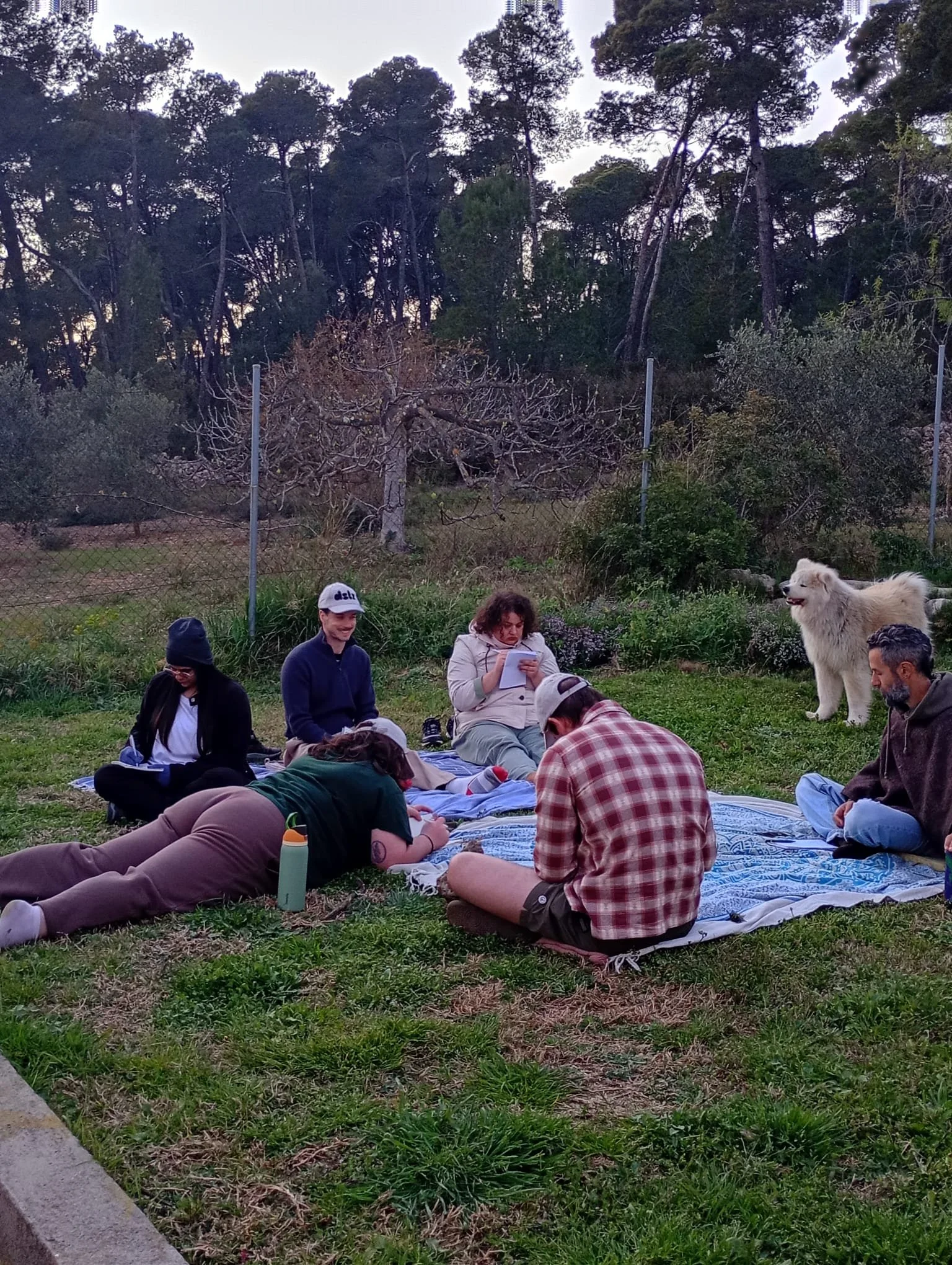 WhatsApp Image 2026-03-26 at 18.33.56 (1).jpeg