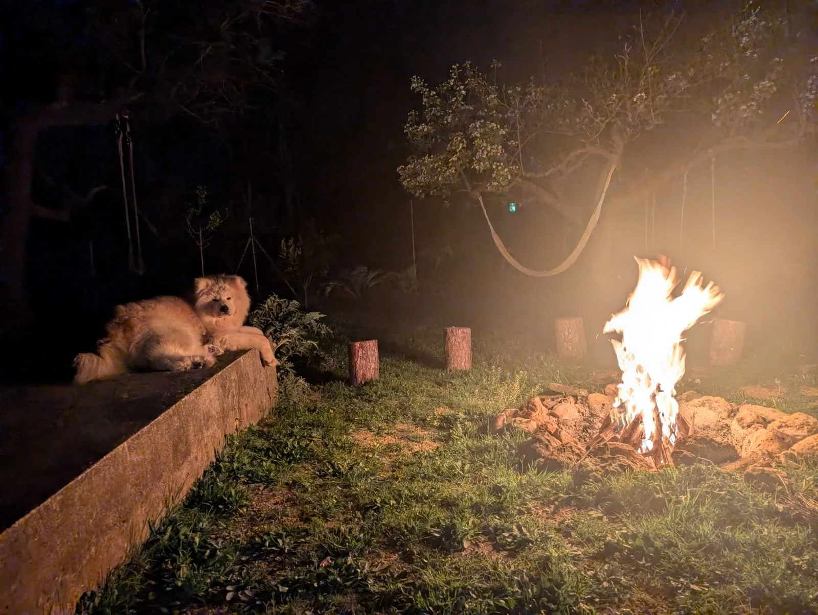 WhatsApp Image 2026-03-25 at 19.50.18.jpeg