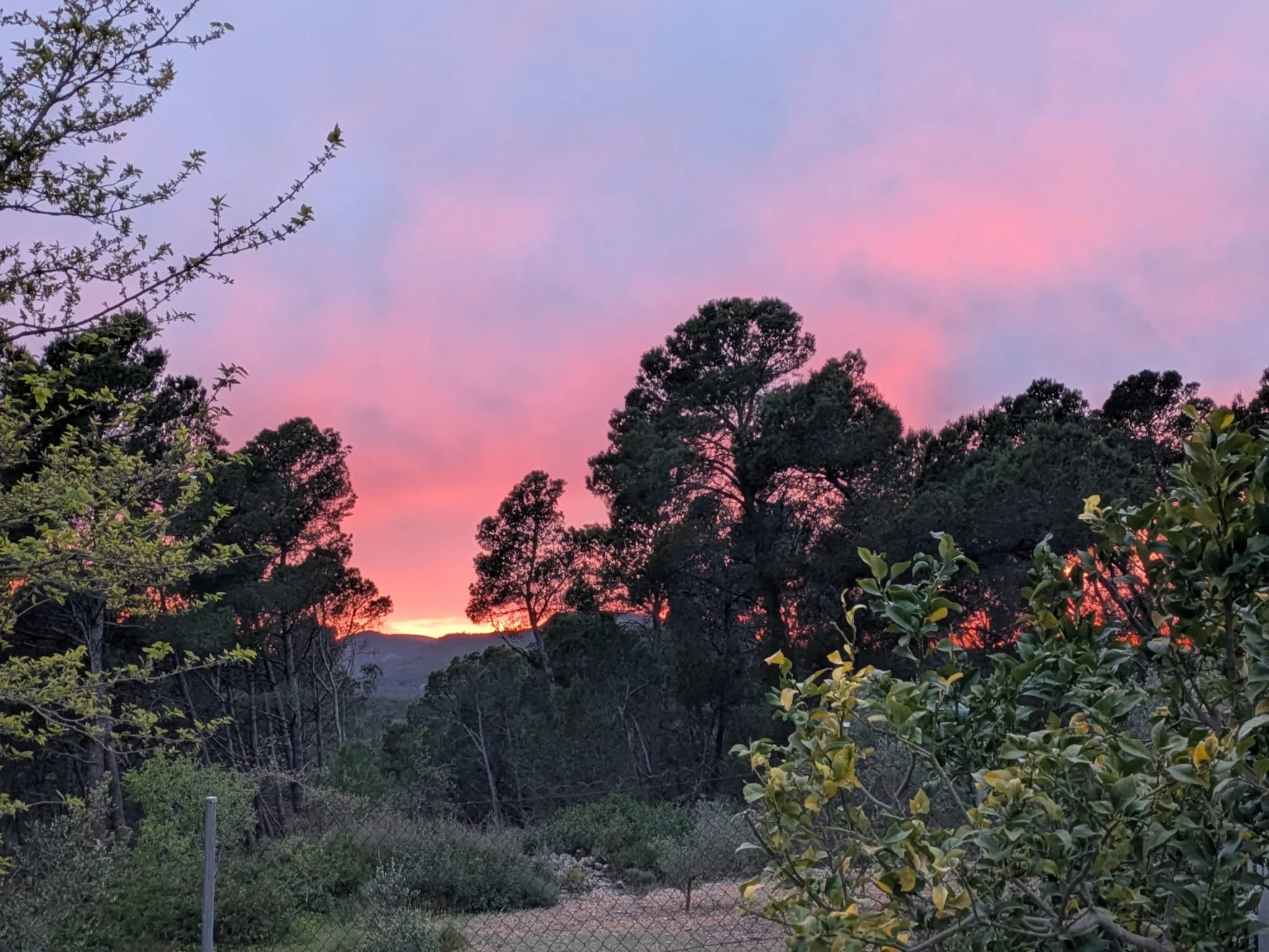 WhatsApp Image 2026-04-10 at 01.13.28 (3).jpeg