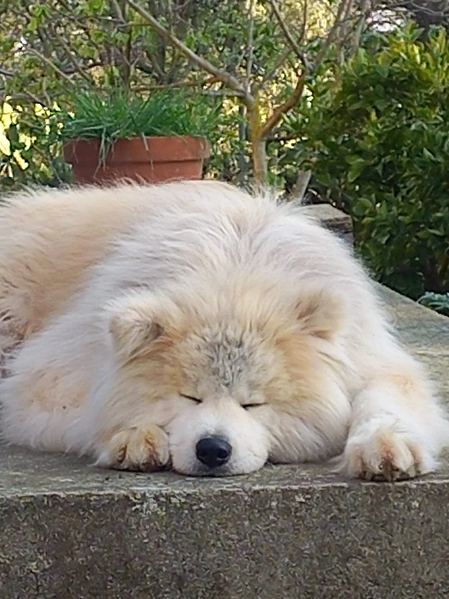 WhatsApp Image 2026-03-25 at 00.00.27.jpeg