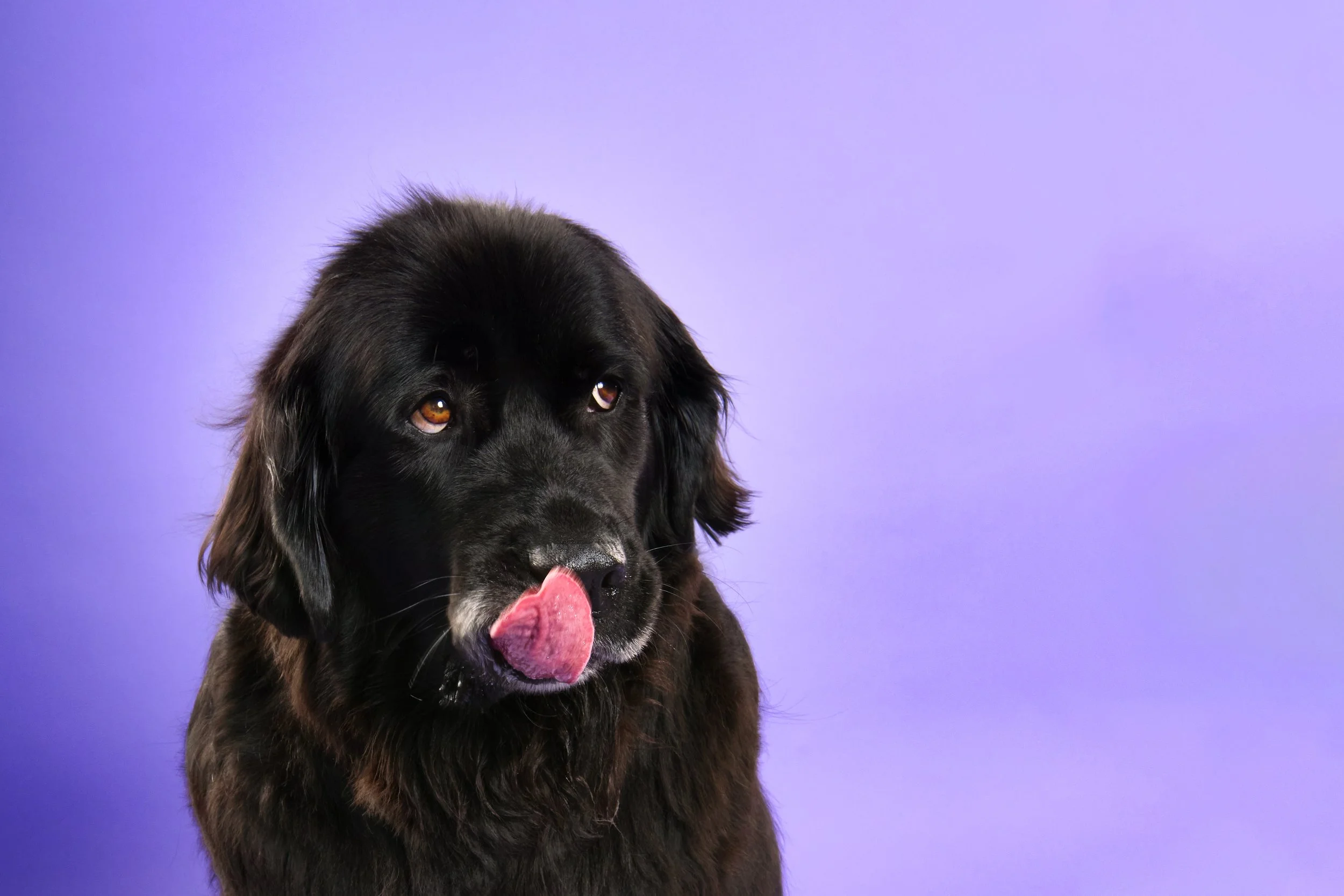 Millie-Terra-101 copy.jpg