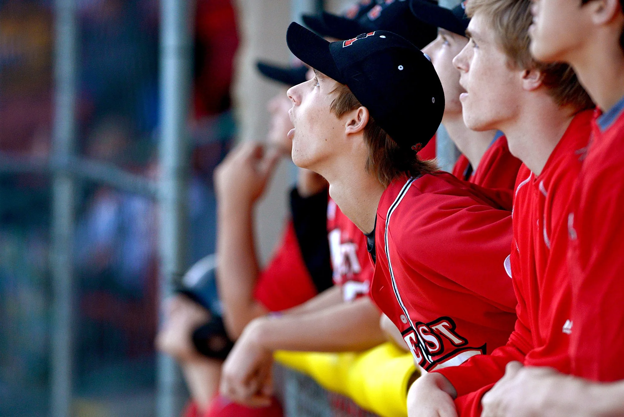 Spotlight Baseball 1.jpg