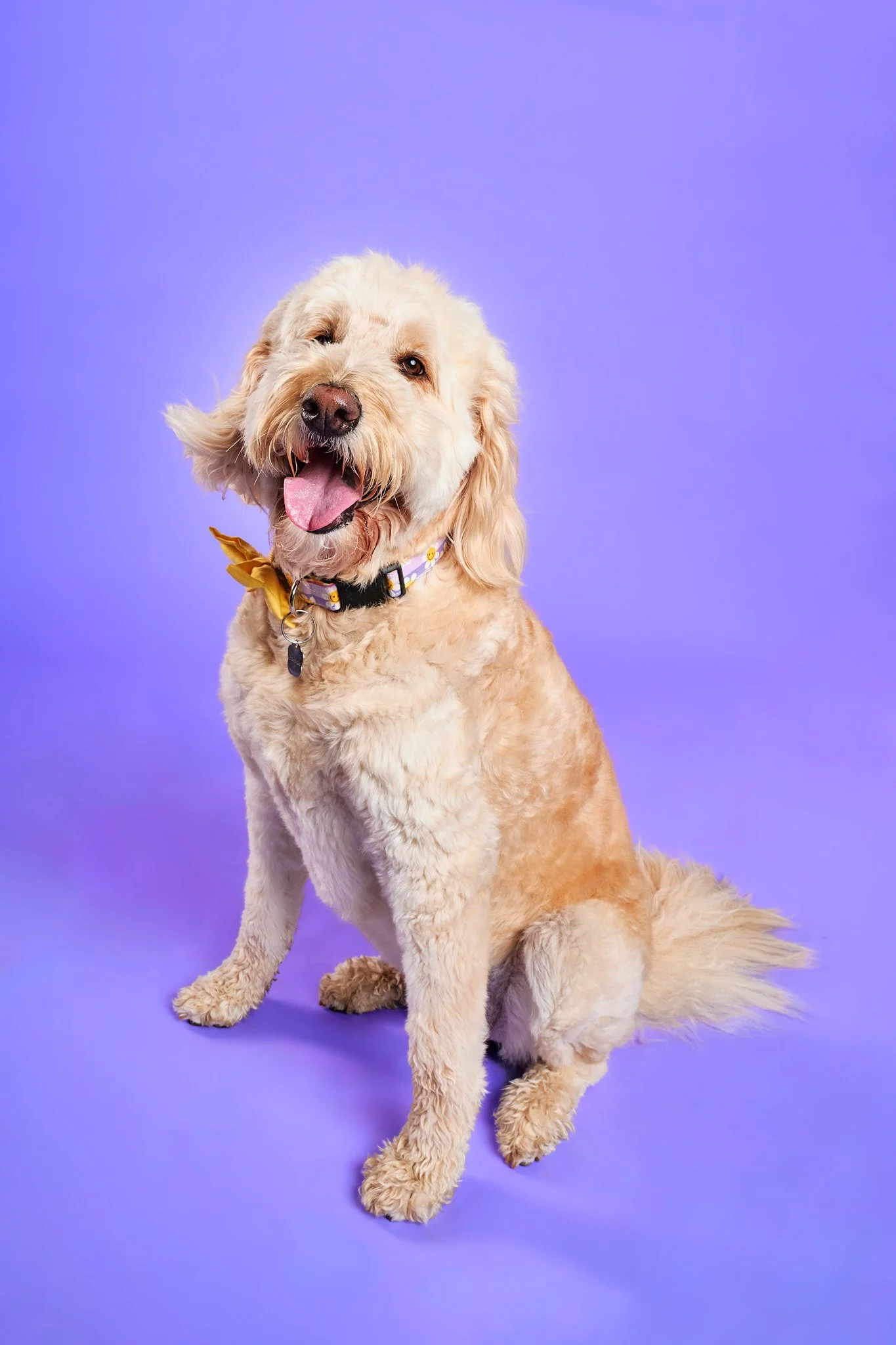 2024 Sessions0758 3-web.jpg