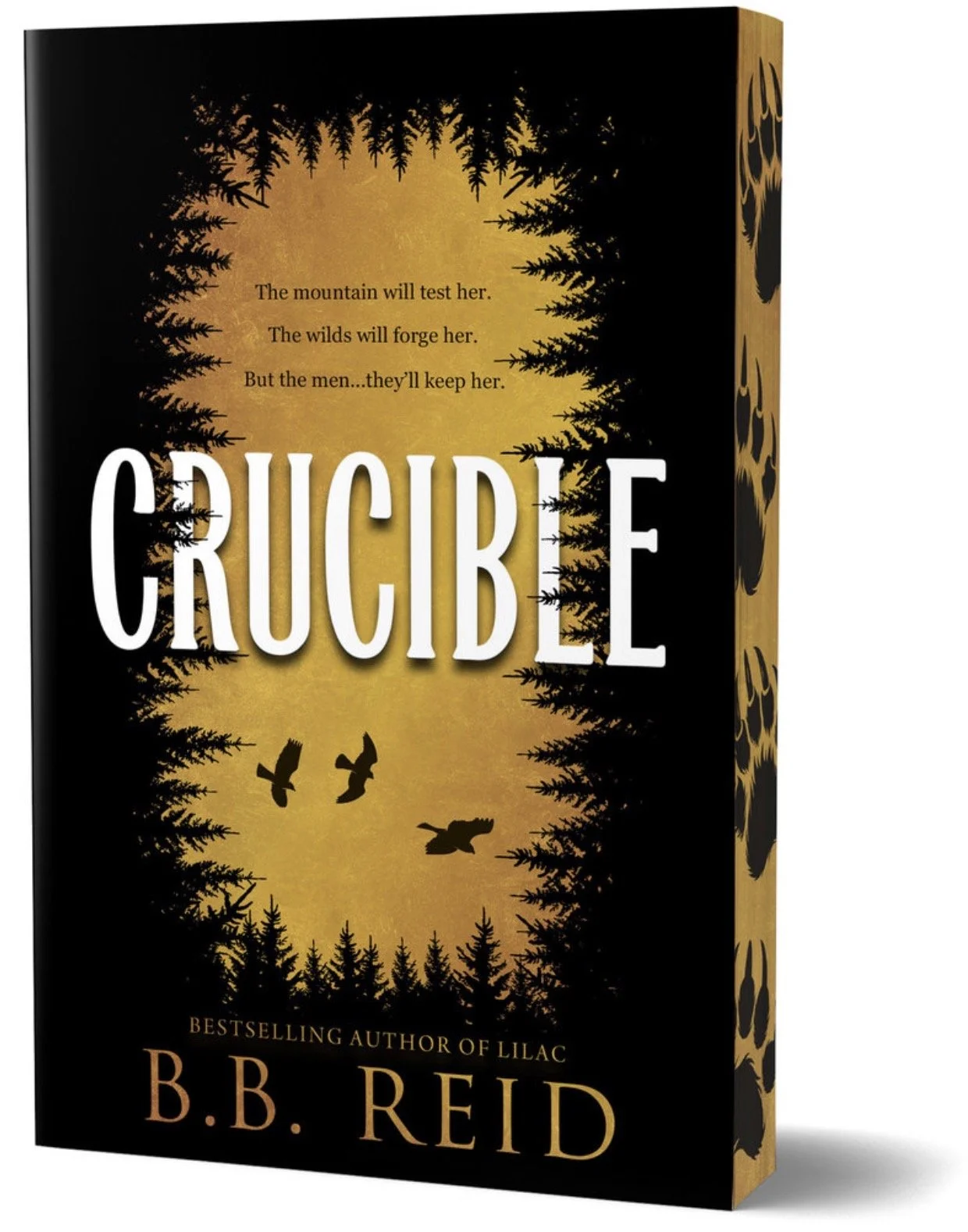 Crucible