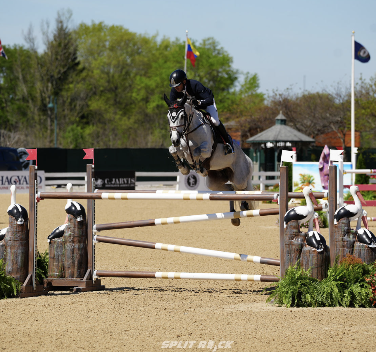 Swail Leads Longines FEI Jumping World Cup™ North American League Standings Following First Four Events