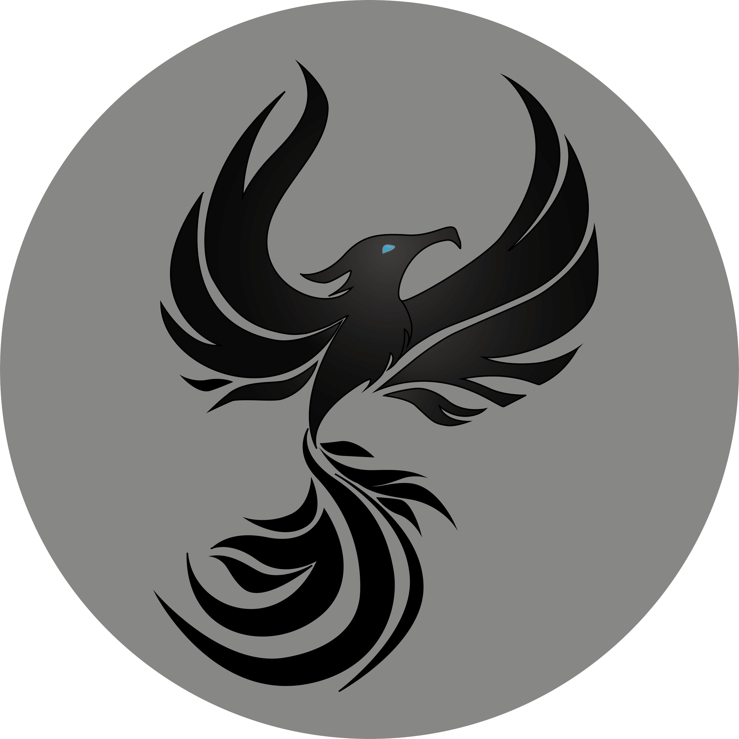 phenoix project finished.png