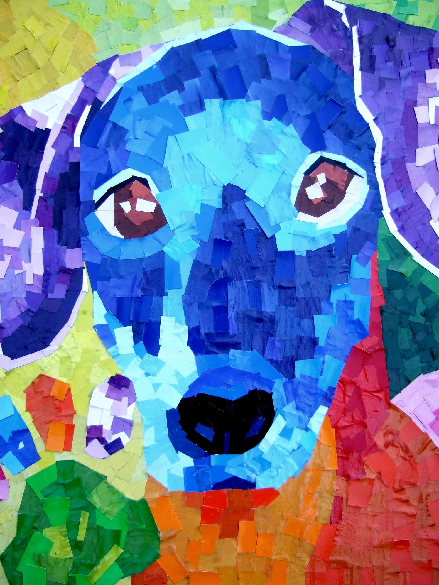 Zoey enhanced 2.jpg