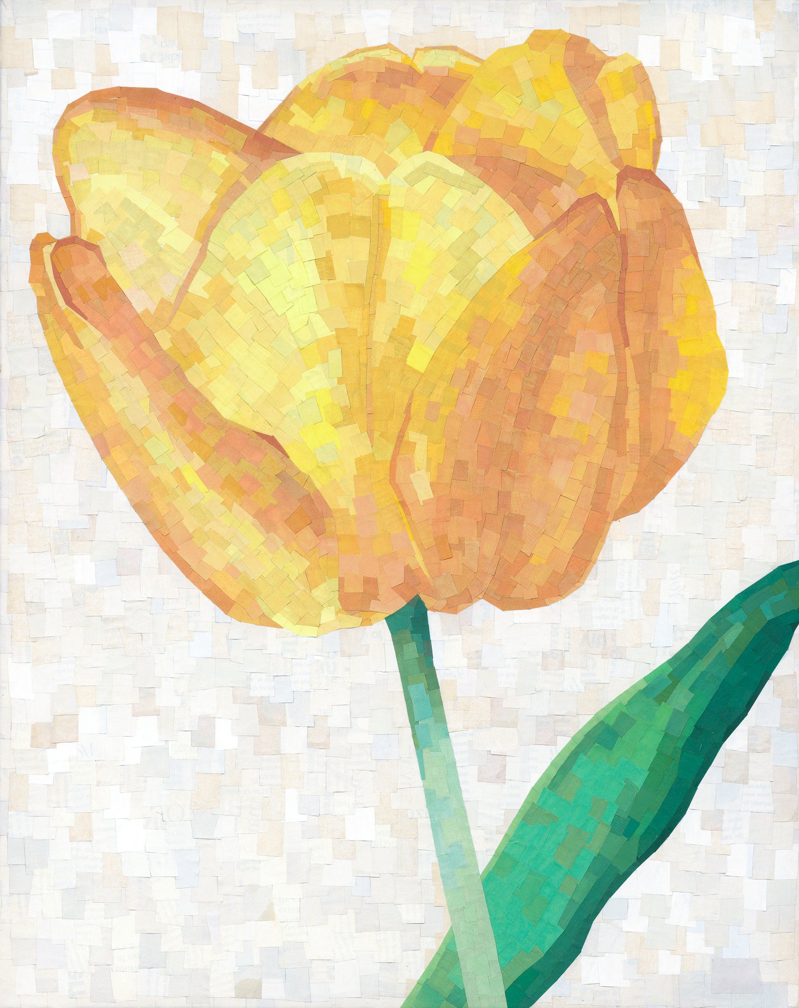Blossom.jpg