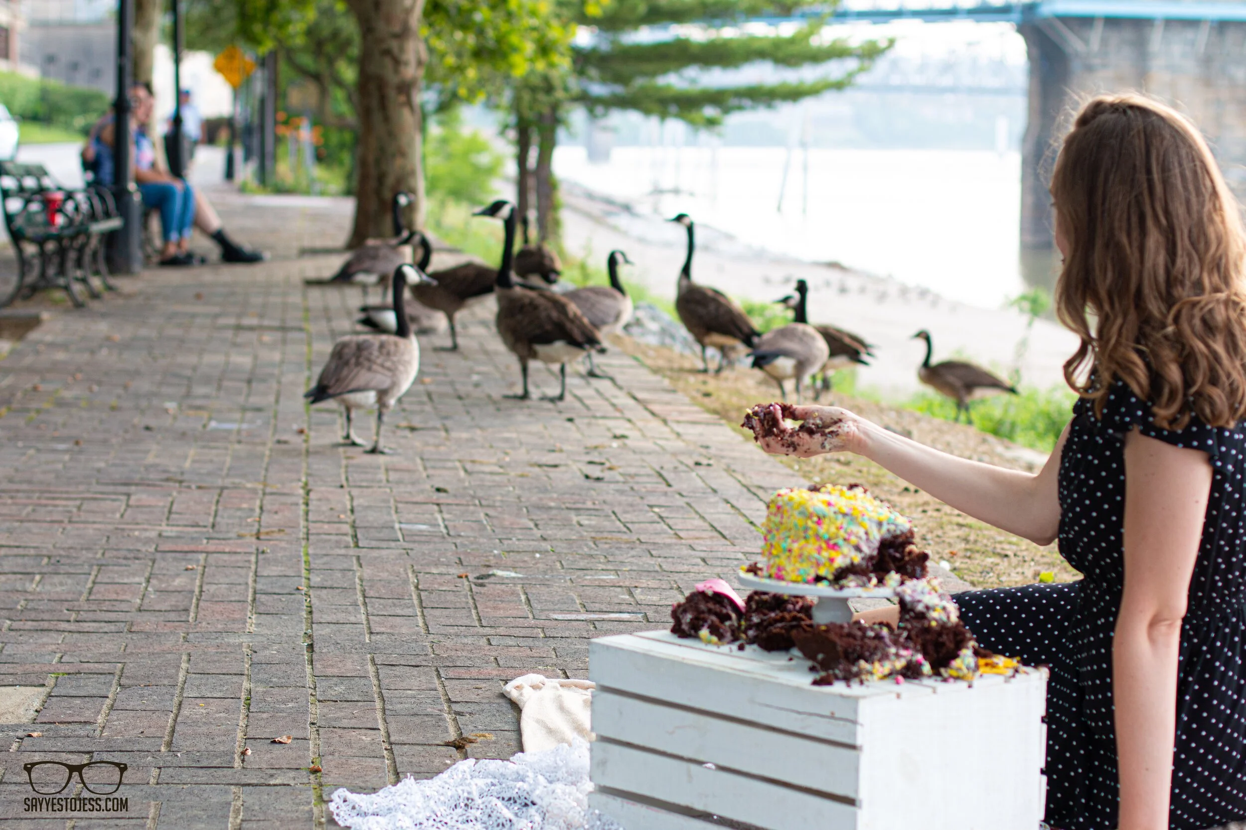 Woman sharing birthday cake with geese on the Cincinnati riverfront after an adult cake smash photoshoot