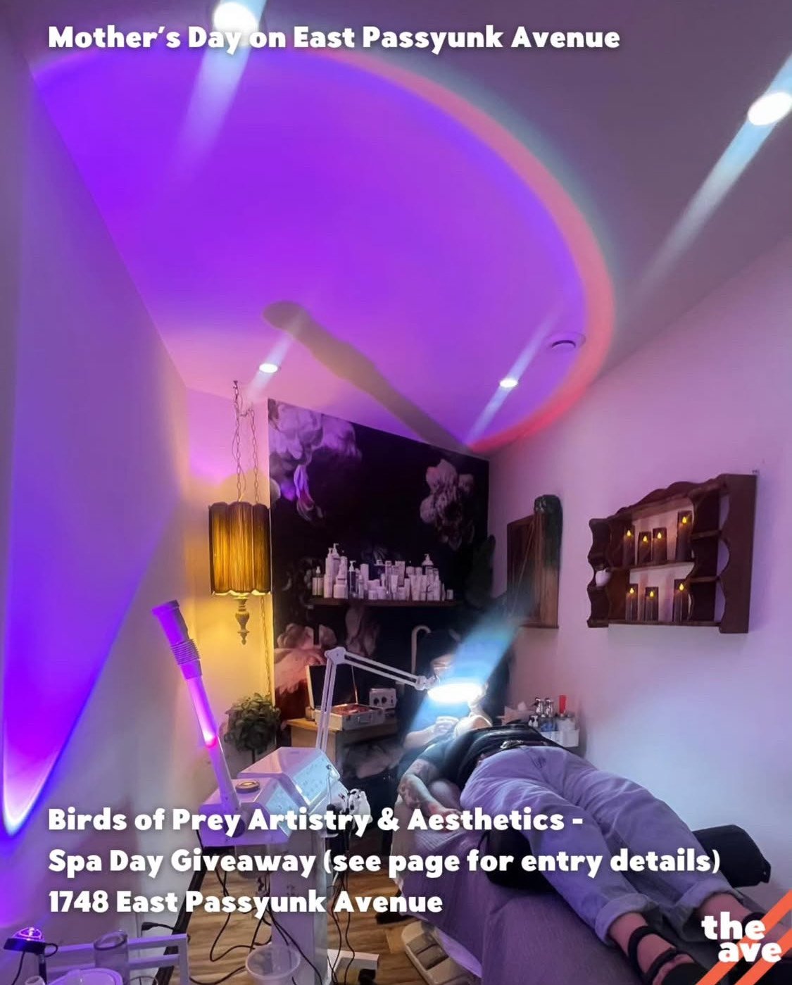 Birds of Prey Artistry & Aesthetics - Mothers Day Giveaway