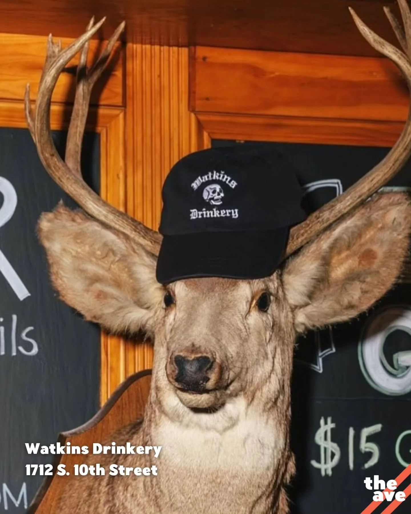Rep the Avenue with merch from your favorite local business! 👜👕🧢 The Ave is home to 160+ shops and eateries, so show your neighborhood pride while supporting your favorites!! 👇👇👇

watkinsdrinkery - Hat
📍 1712 S. 10th Street

@cartesianbrewing 