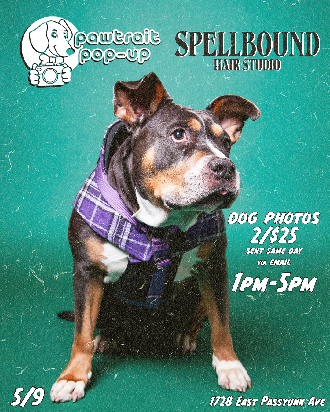 Spellbound Studio - Pawtrait Pop Up at Spellbound