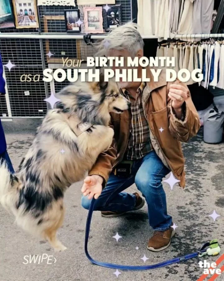 Your birth month ⟿ as a South Philly dog !!

Personally, we're an August - hbu?

See a dog you know (or lovingly parent)?? Comment below so we can tag all the pups on Passyunk! #eastpassyunk #aveforall