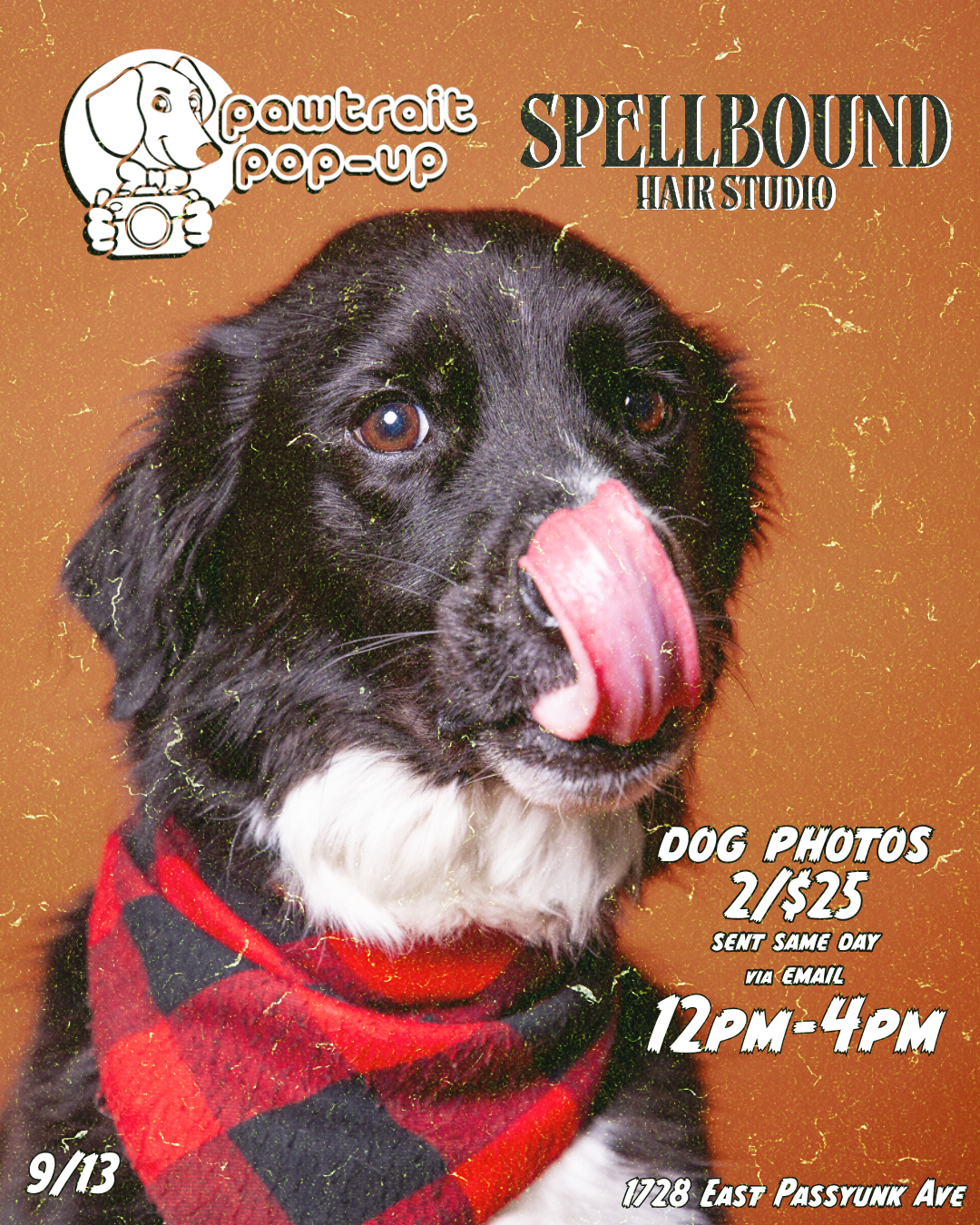 Spellbound Studio - Pawtrait Pop-up at Spellbound Studio 