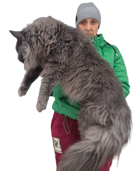 Person holding a large gray Maine Coon cat wearing a green jacket and gray beanie.