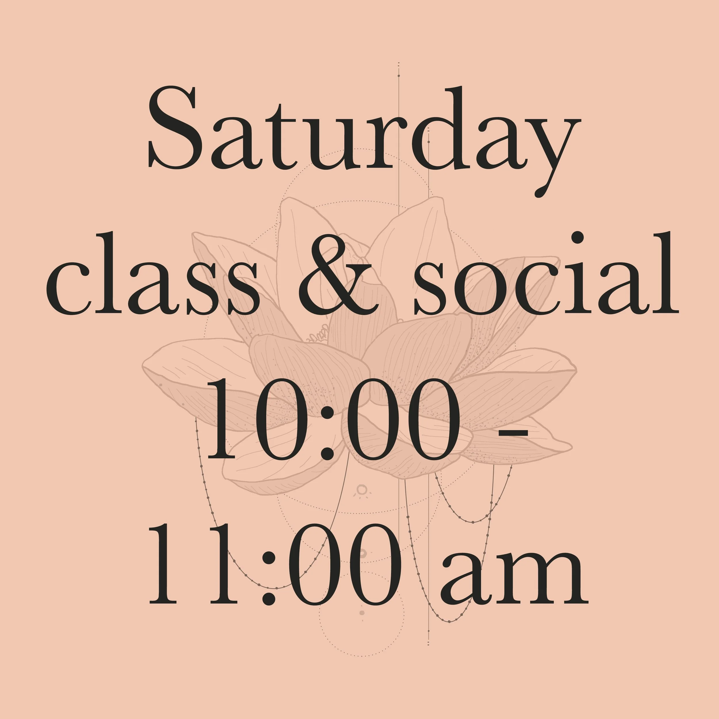 Saturday 31st January - Class and Social