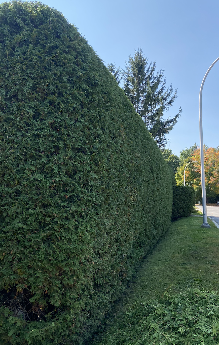 Oranssi project: slat roof