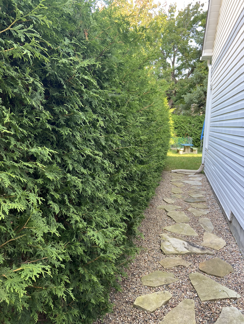 Oranssi project: studio shed