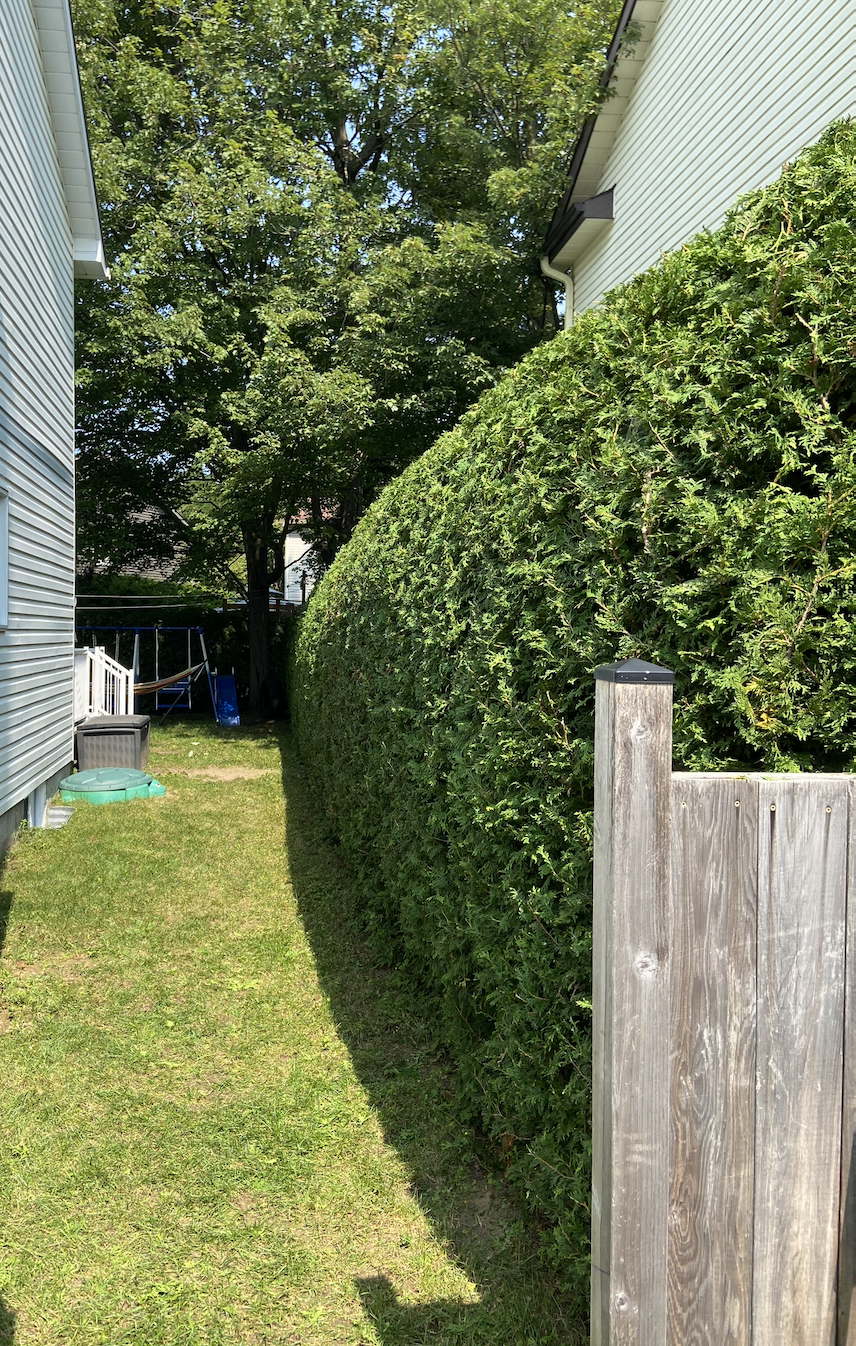 Oranssi project: passive house