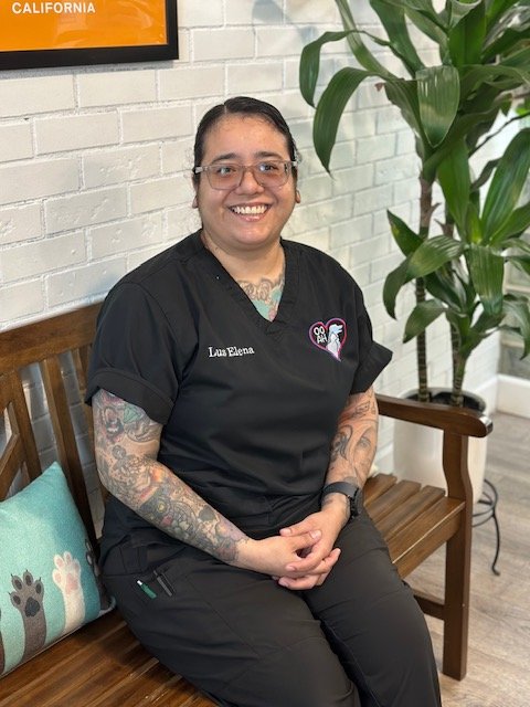 Person with long black hair and glasses smiling, sitting on a bench with a colorful cushion. They are wearing a black shirt with "Elena" on it, and have tattoos on their arms.