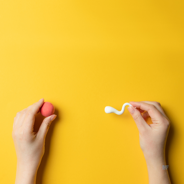 ivf (1).png