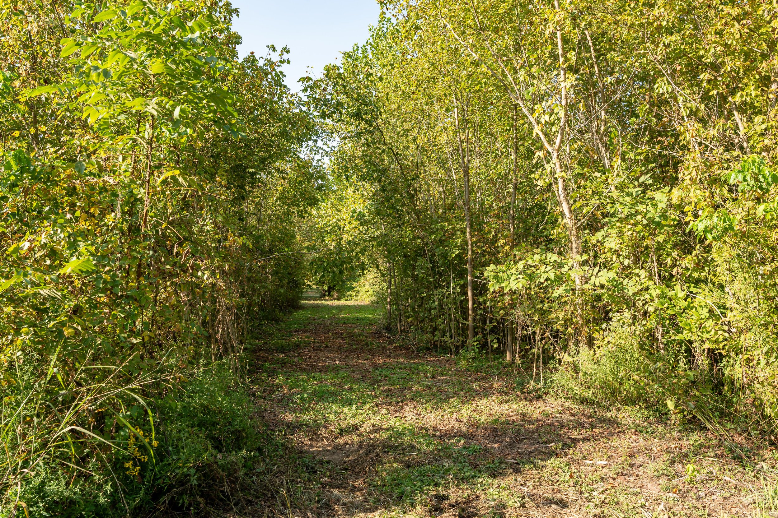 Fundraising Taskforce Formed to Advance Kelley's Landing