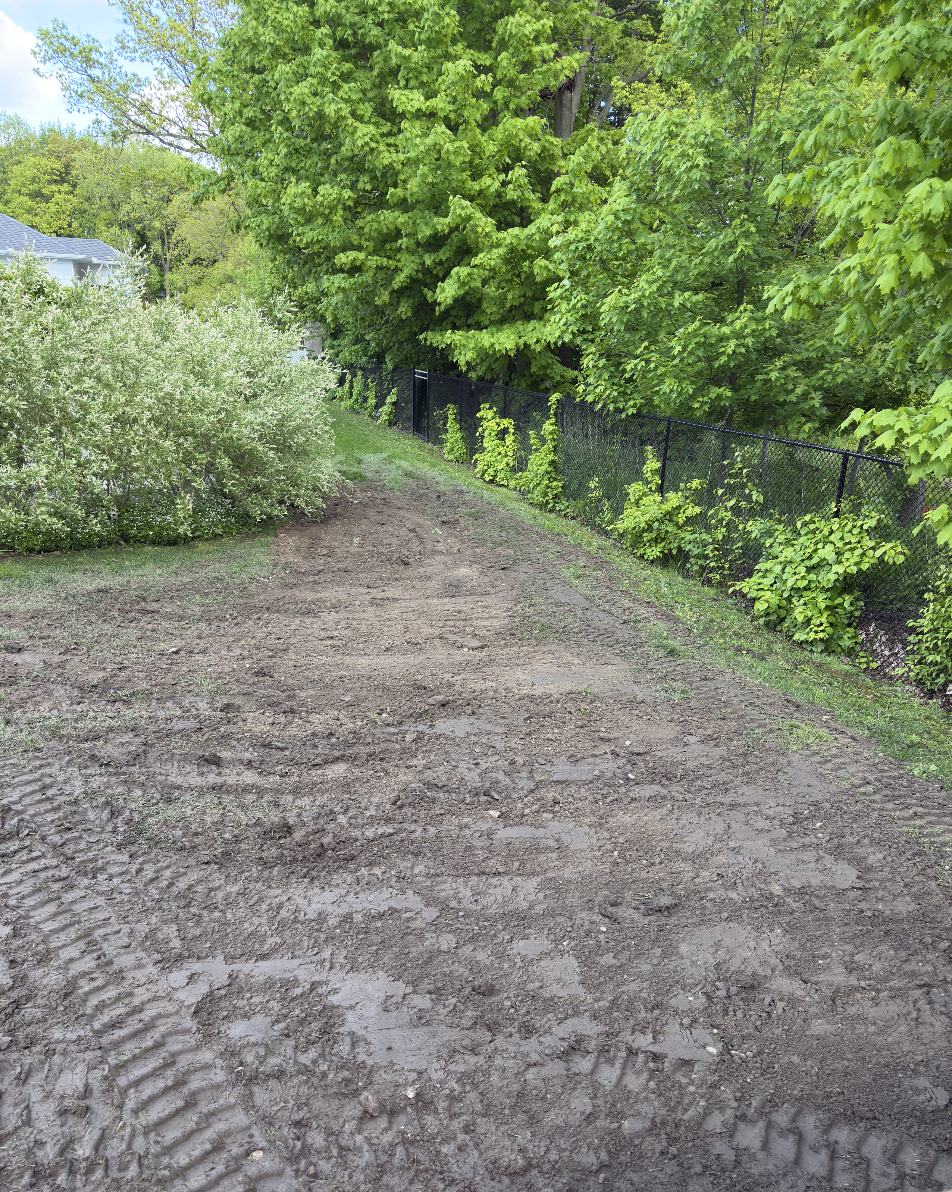 Screenshot 2026-02-13 at 1.47.07 PM.png