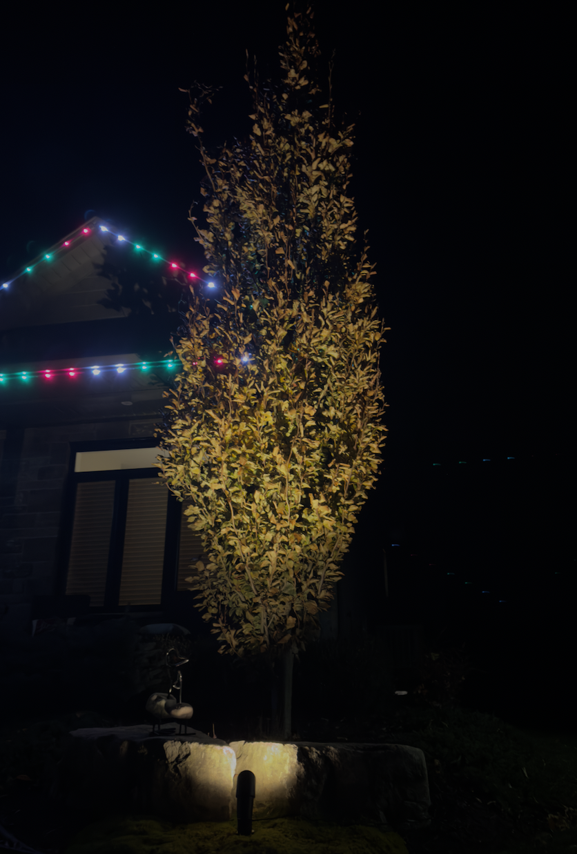 Screenshot 2026-02-15 at 5.10.28 PM.png