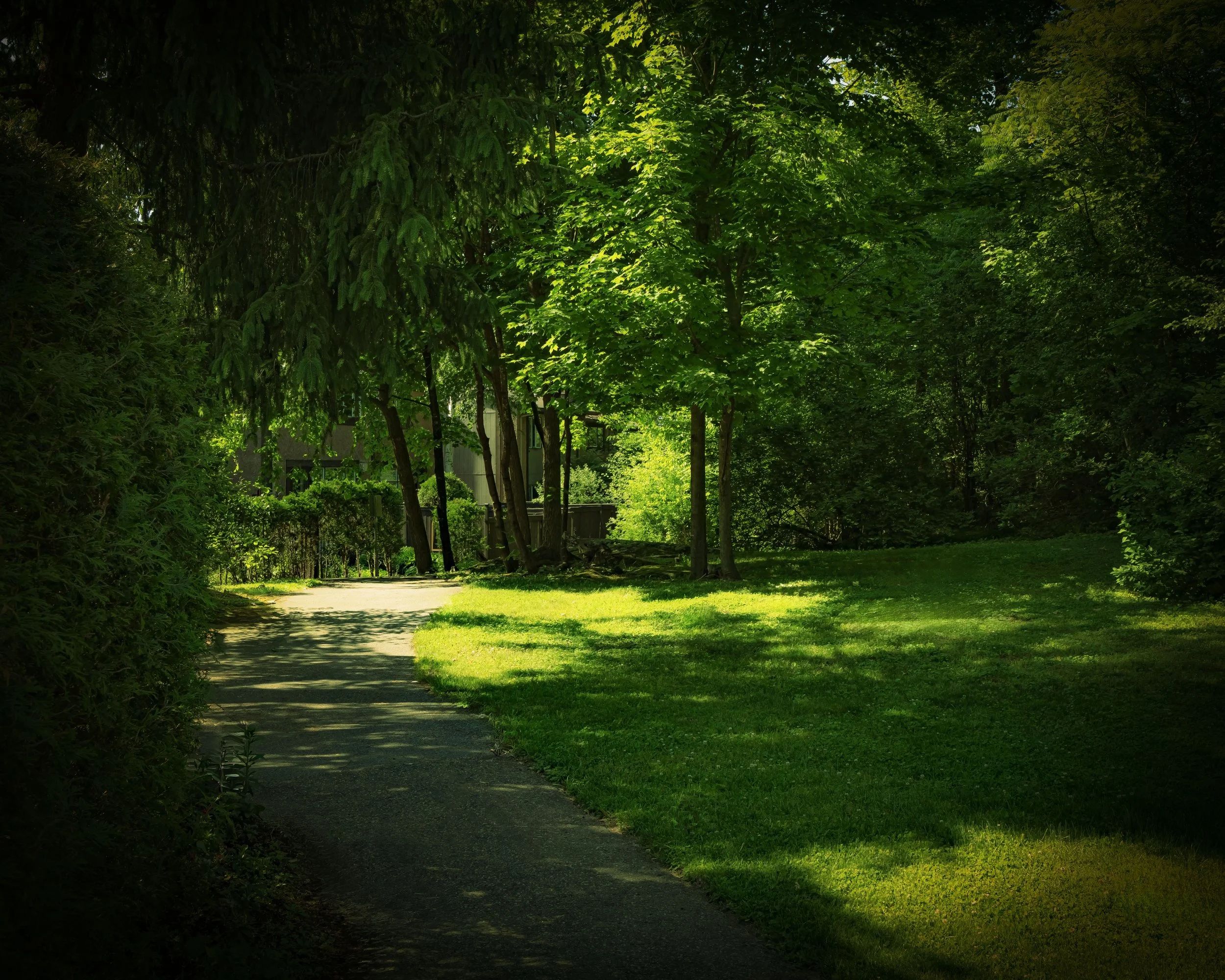 Reaney_Court_MLP9880 copie.jpg