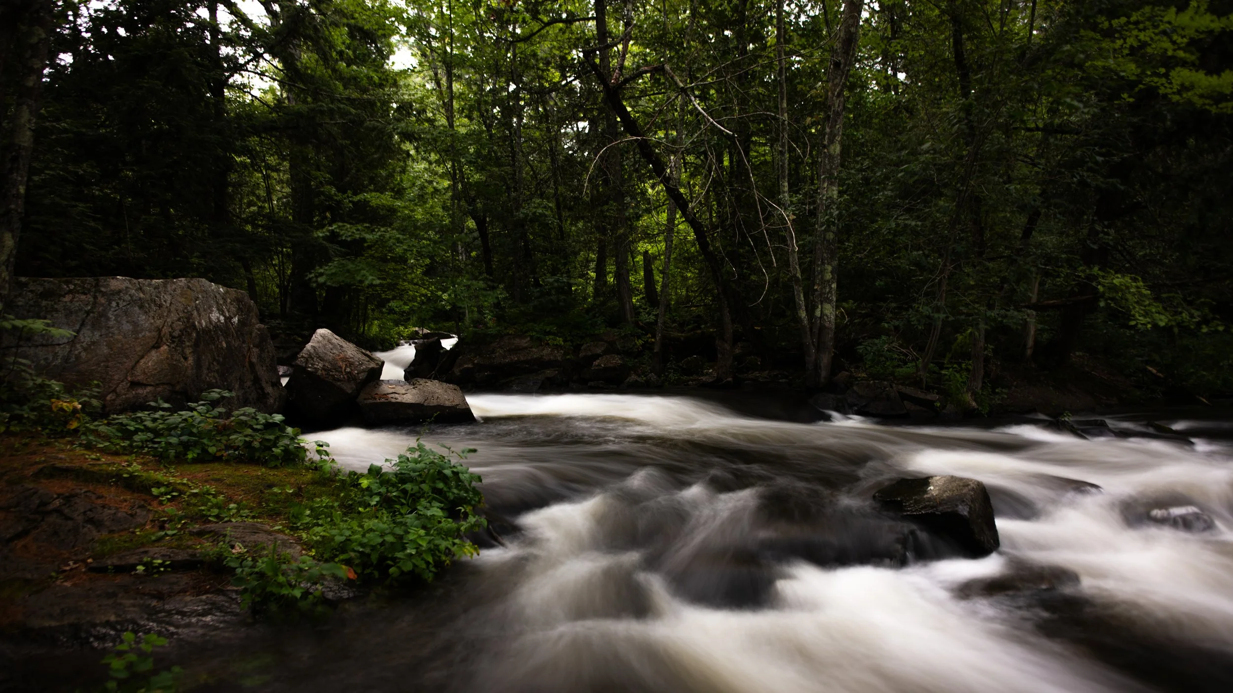 Where_The_Water_Flows_MLP5087 copie.jpg