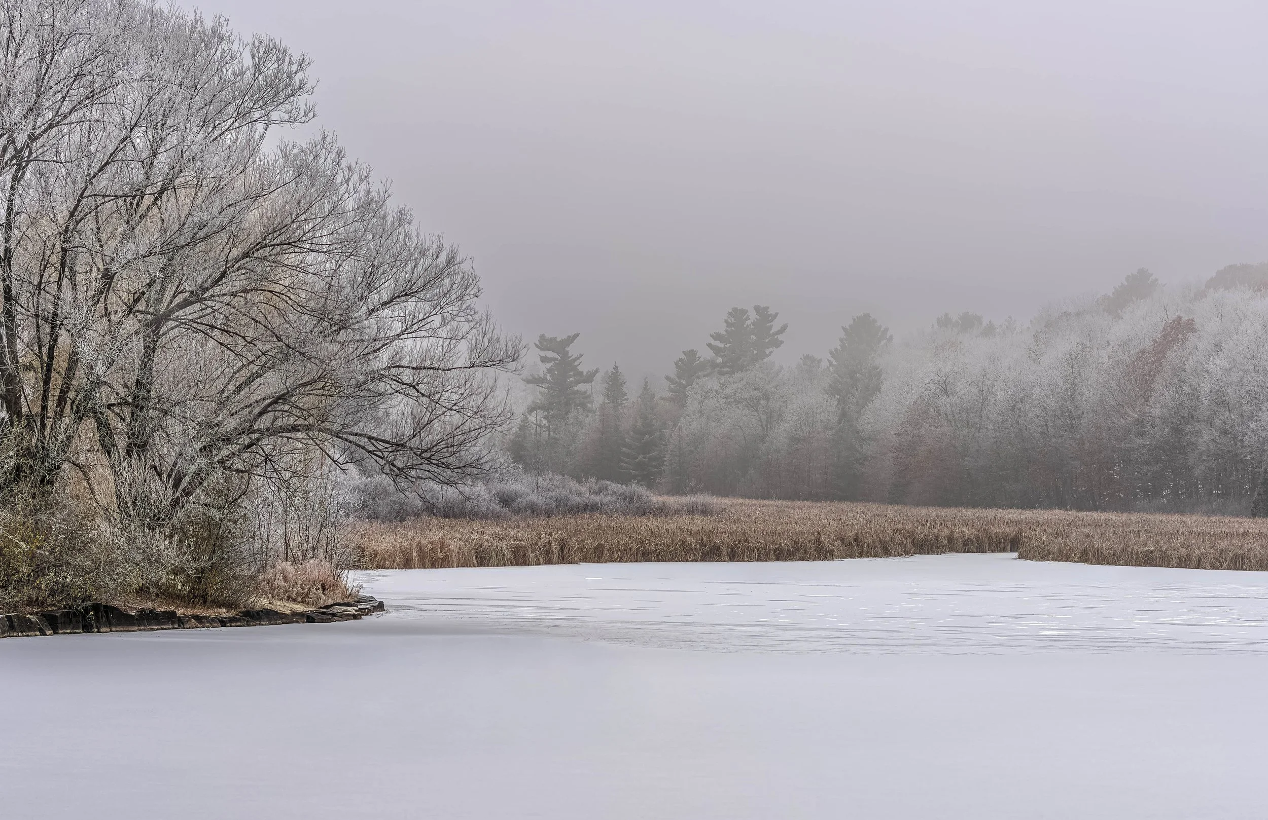 Winter_Mist_Frosted_Trees_Frozen_Pond_A7R5528_17_x_11.jpg