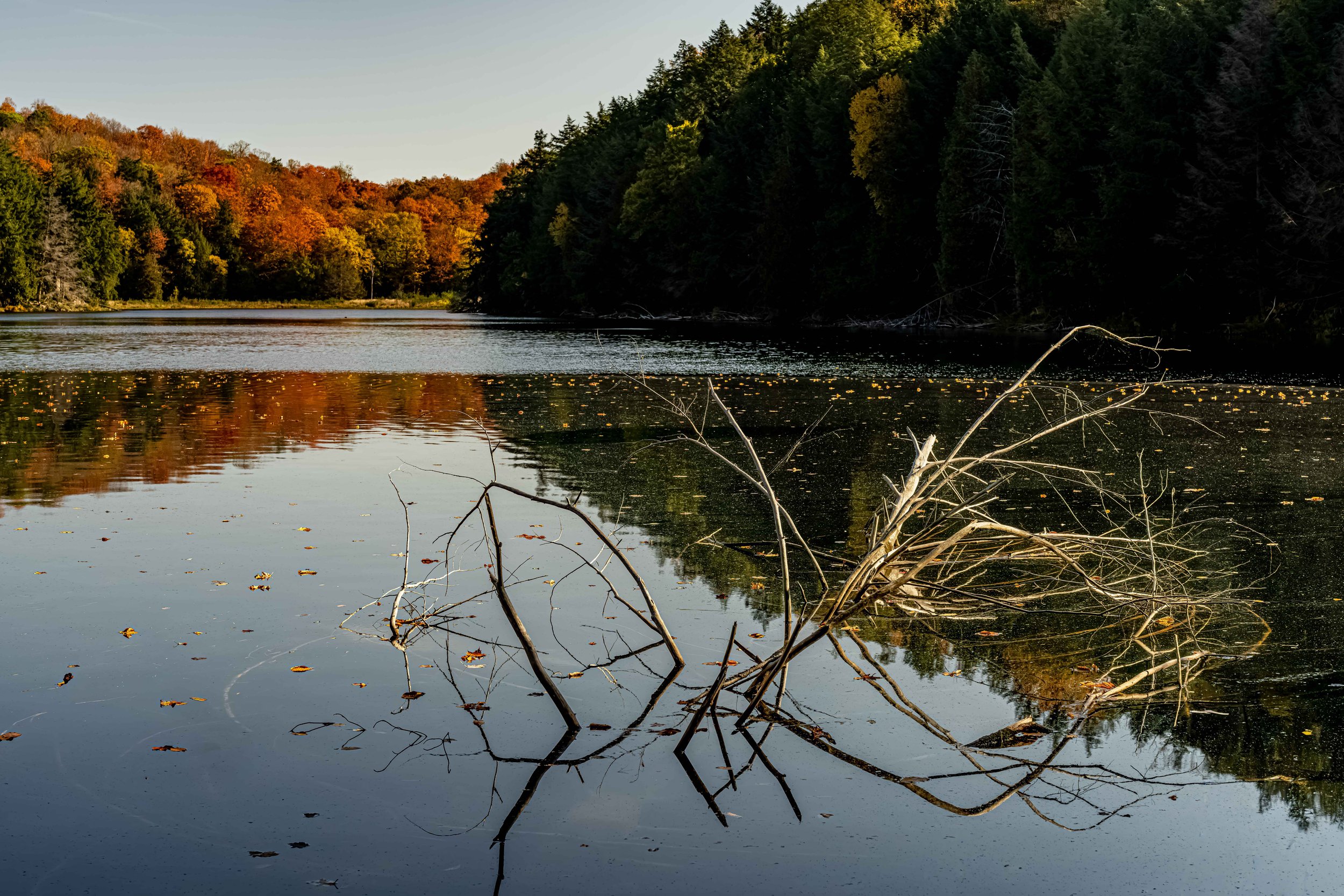 Gatineau_National_Park_A7R3397_18_x_12.jpg