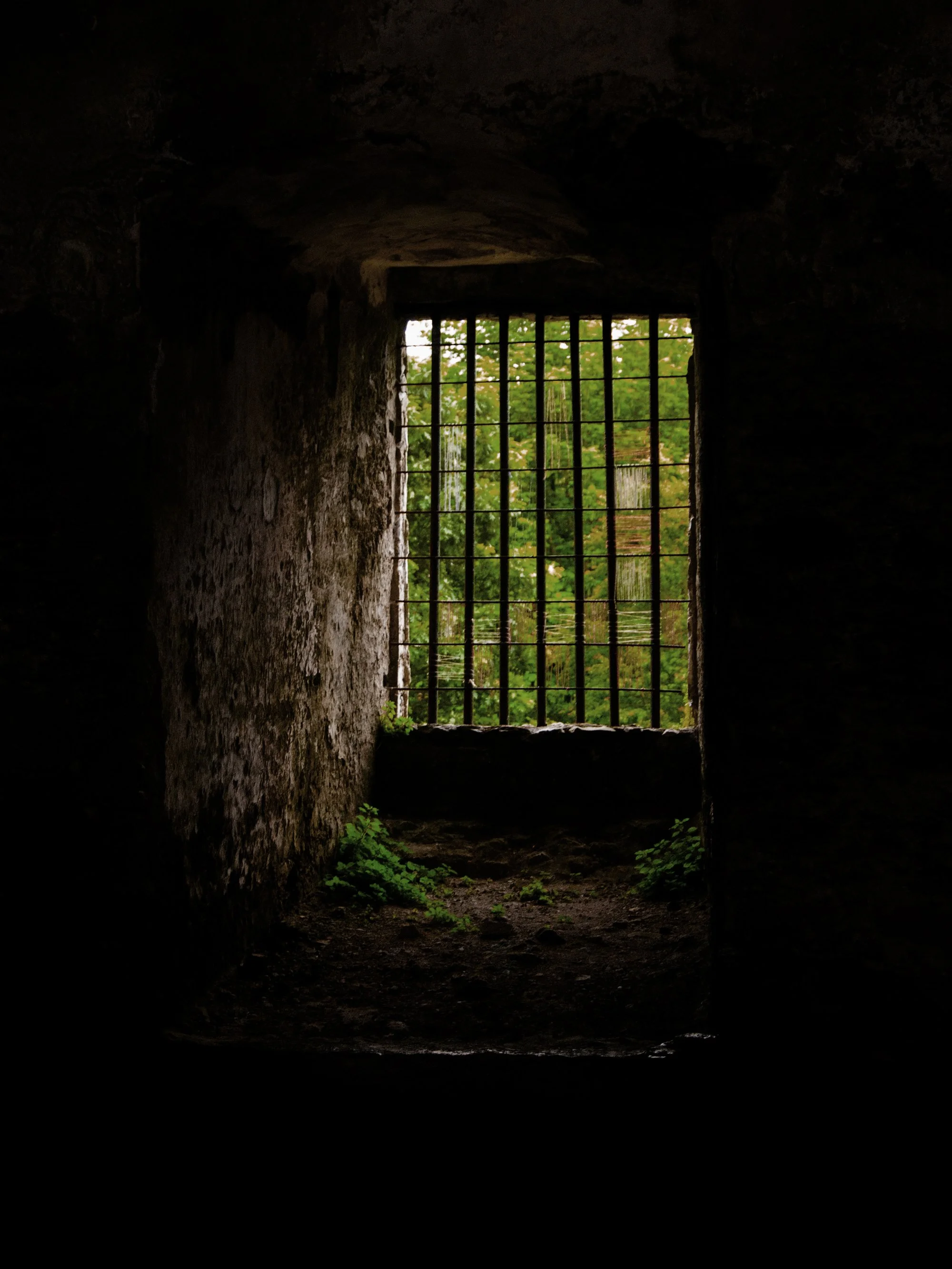 Green_is_Hope_DSC_0095 copie.jpg