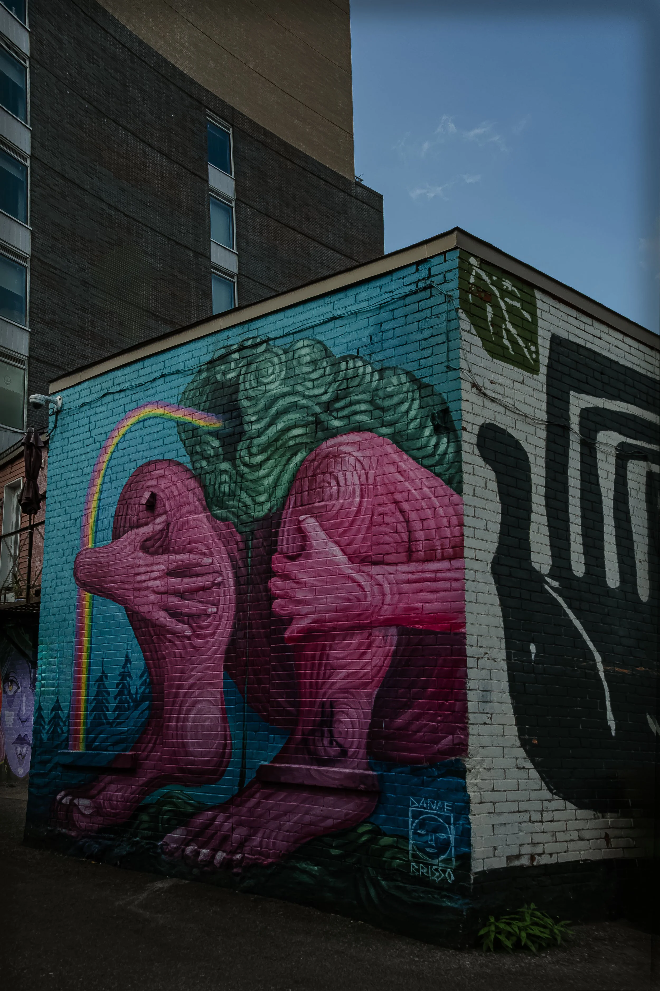 Arlington_Street_Art_DSF1793 copie.jpg