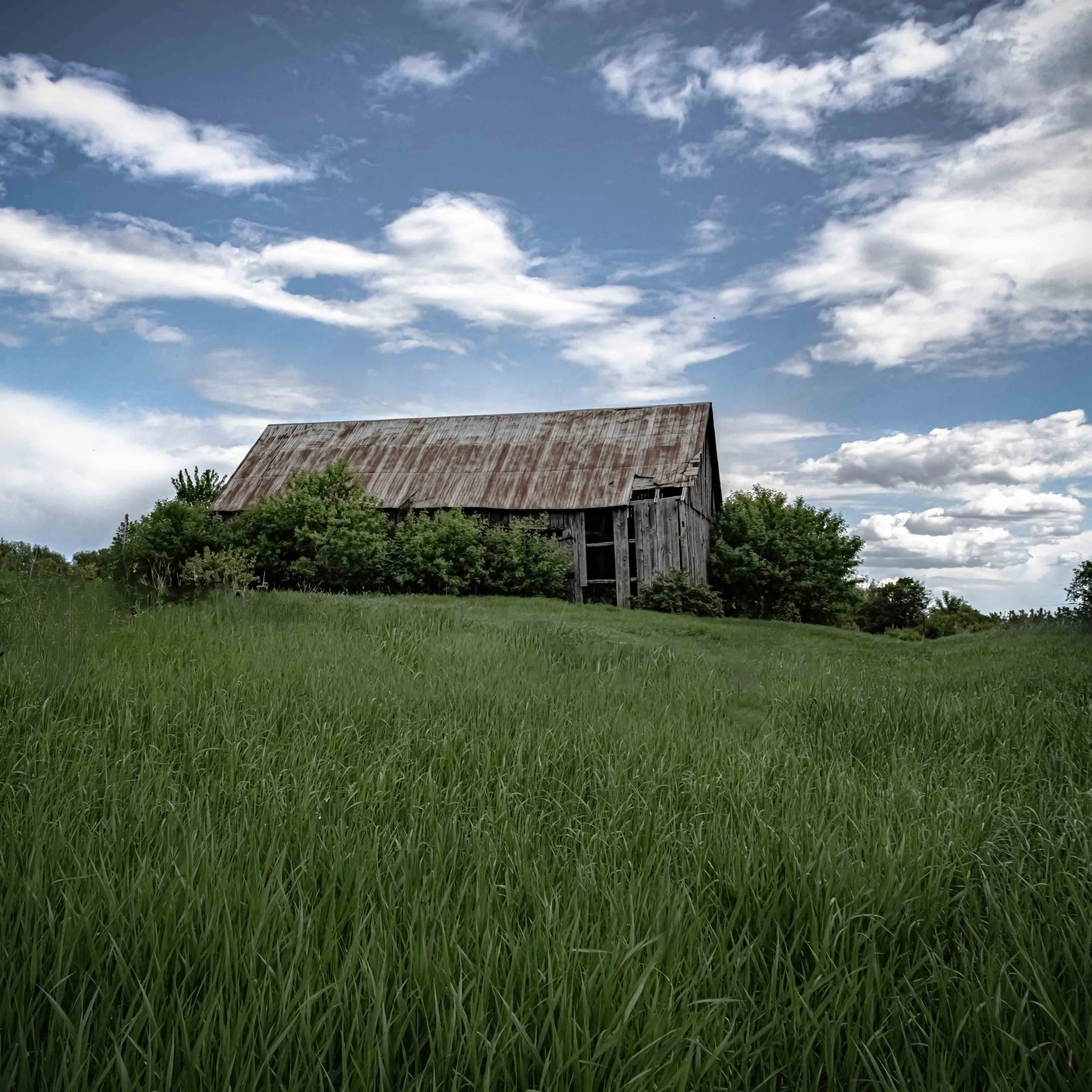 OWAA_Barn_March_Rd_Square_2_MLP8995 copie.jpg