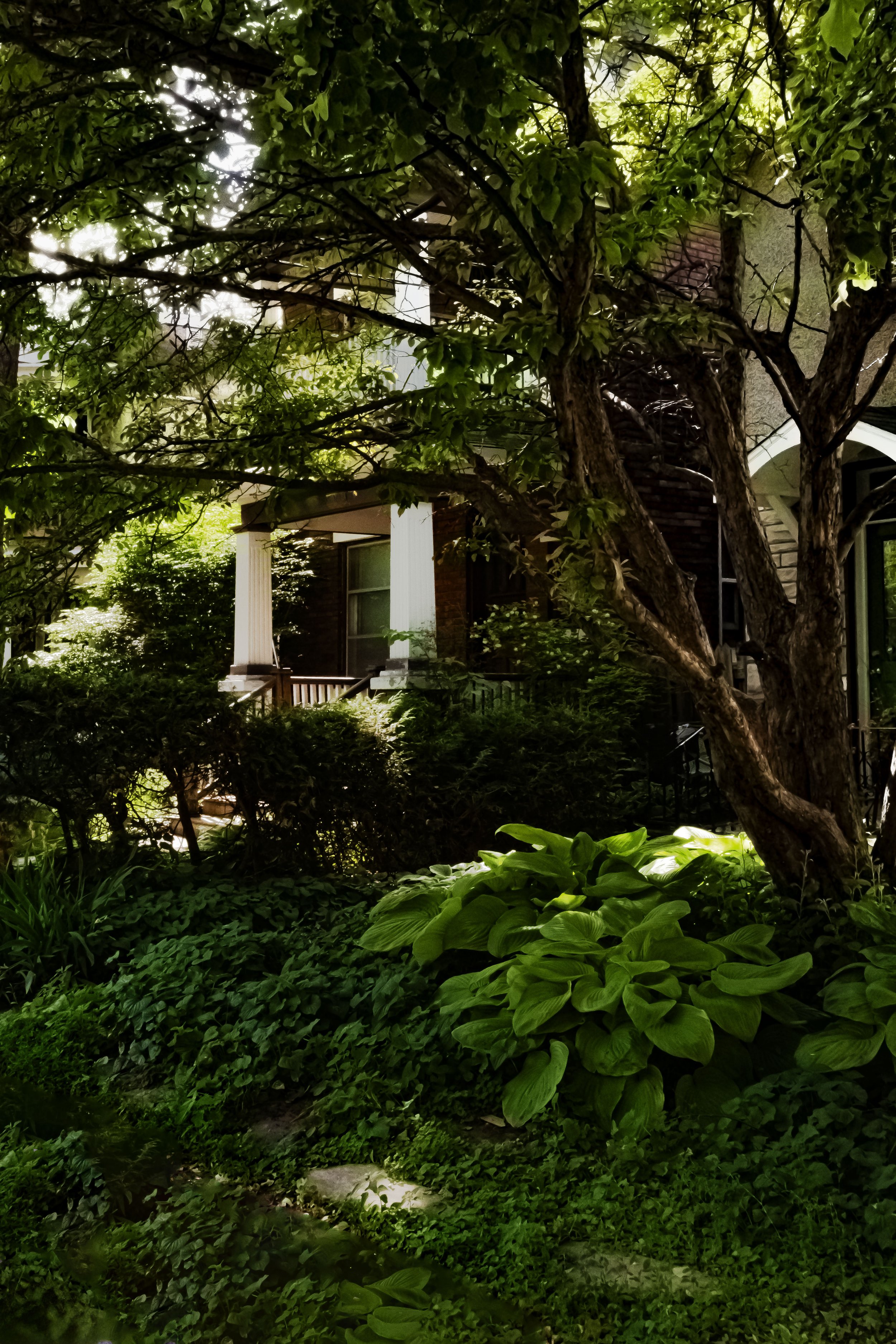 McLeod_Street_DSF1785 copie.jpg