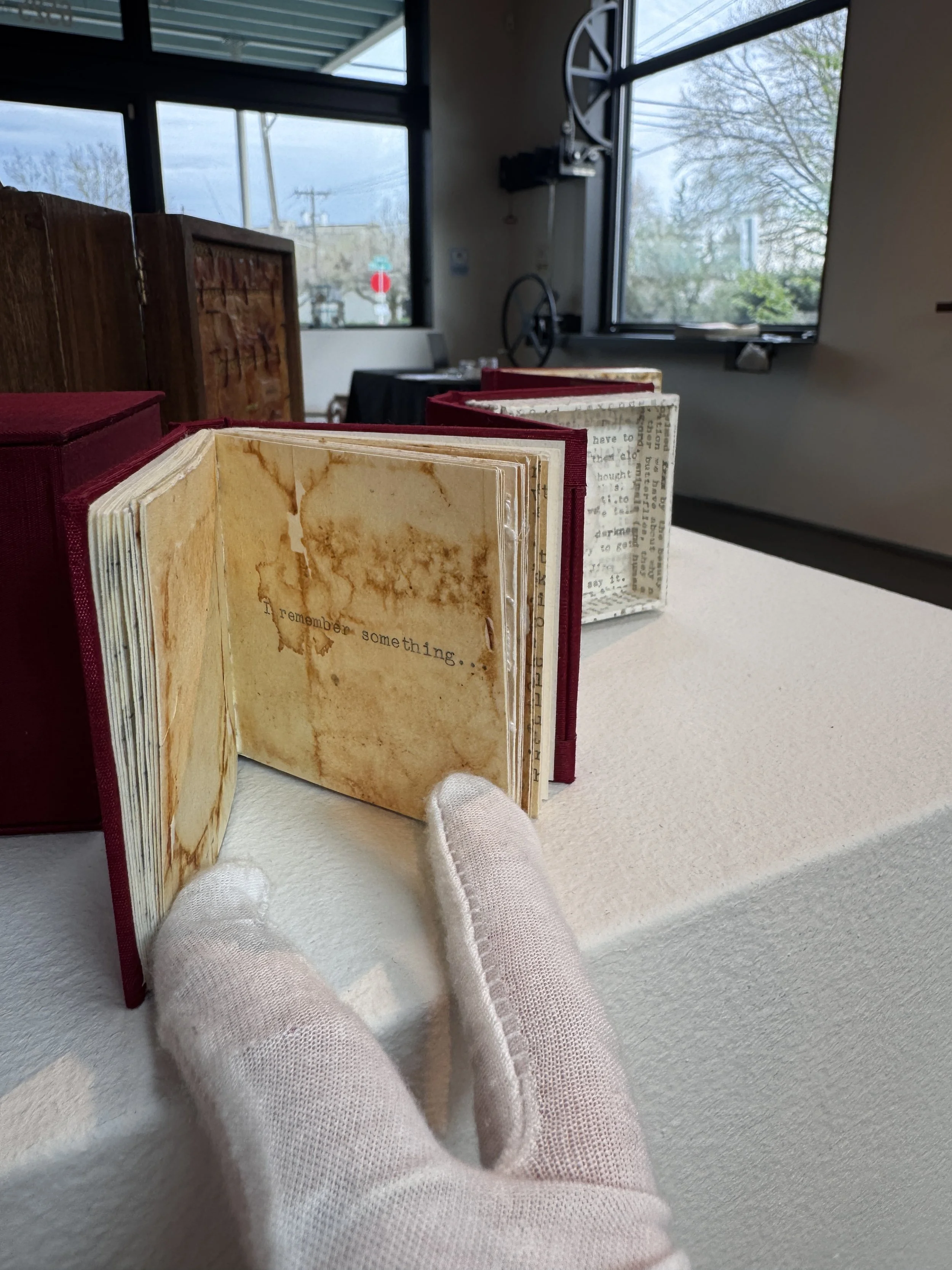  ﻿﻿﻿Opening part of Naomi Kasumi,   Memory Collection #7 accordion-codex,   2005. paper, silk, cocoon, quail egg, tea-bag red yarn, white thread, Typewriter typing. Courtesy of Seattle University. Special Collection, Lemieux Library, Seattle U. 